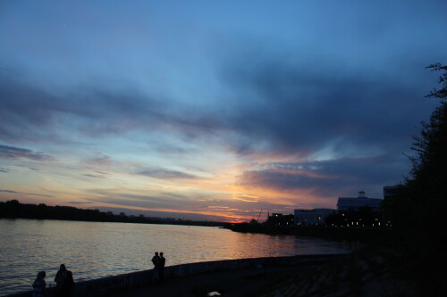 IMG_4945.md.jpg