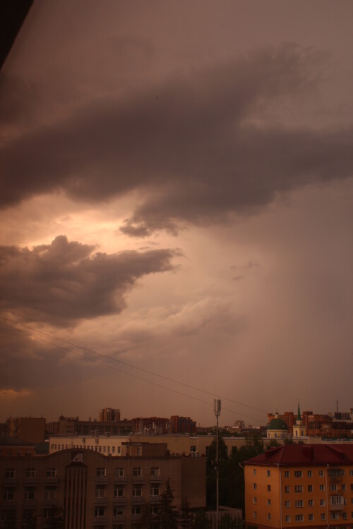 IMG_4950.md.jpg
