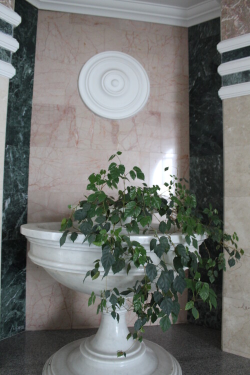IMG_4998.md.jpg