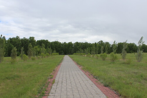 IMG_5096.md.jpg
