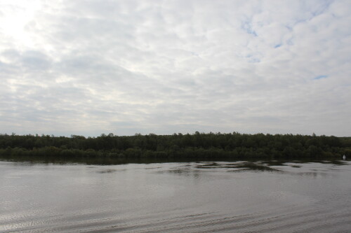 IMG_5293.md.jpg