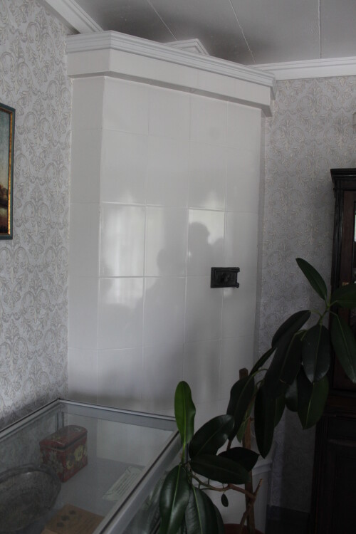 IMG_5385.md.jpg