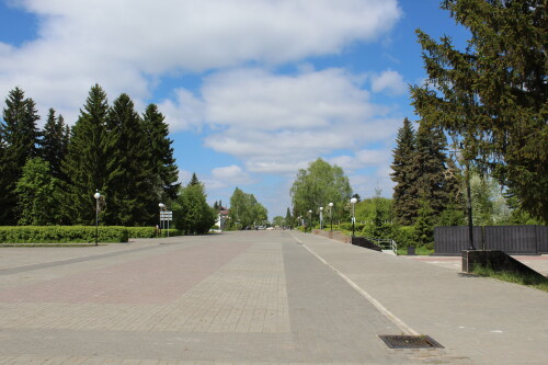 IMG_5439.md.jpg