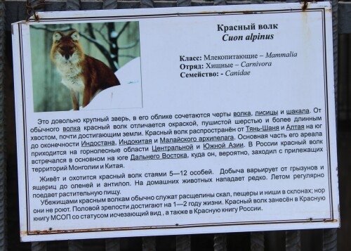 IMG_5496.md.jpg