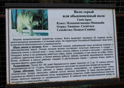 IMG_5534.md.jpg