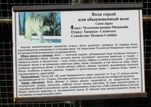 IMG_5538.md.jpg