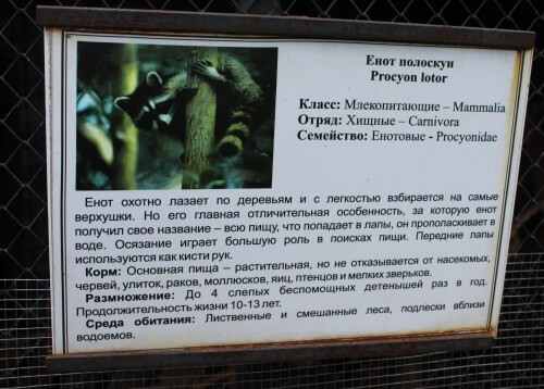 IMG_5553.md.jpg