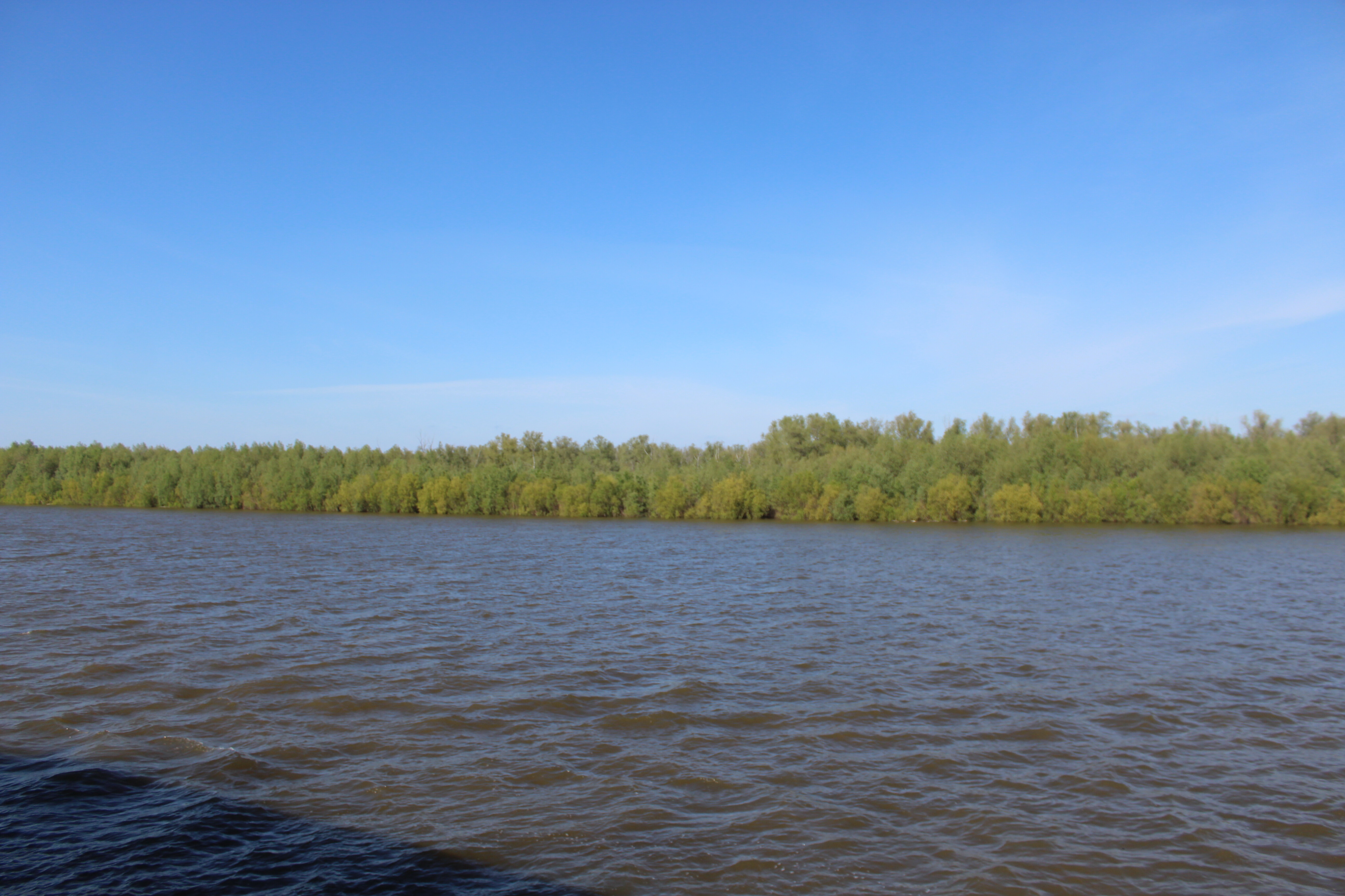 IMG_5610.jpg