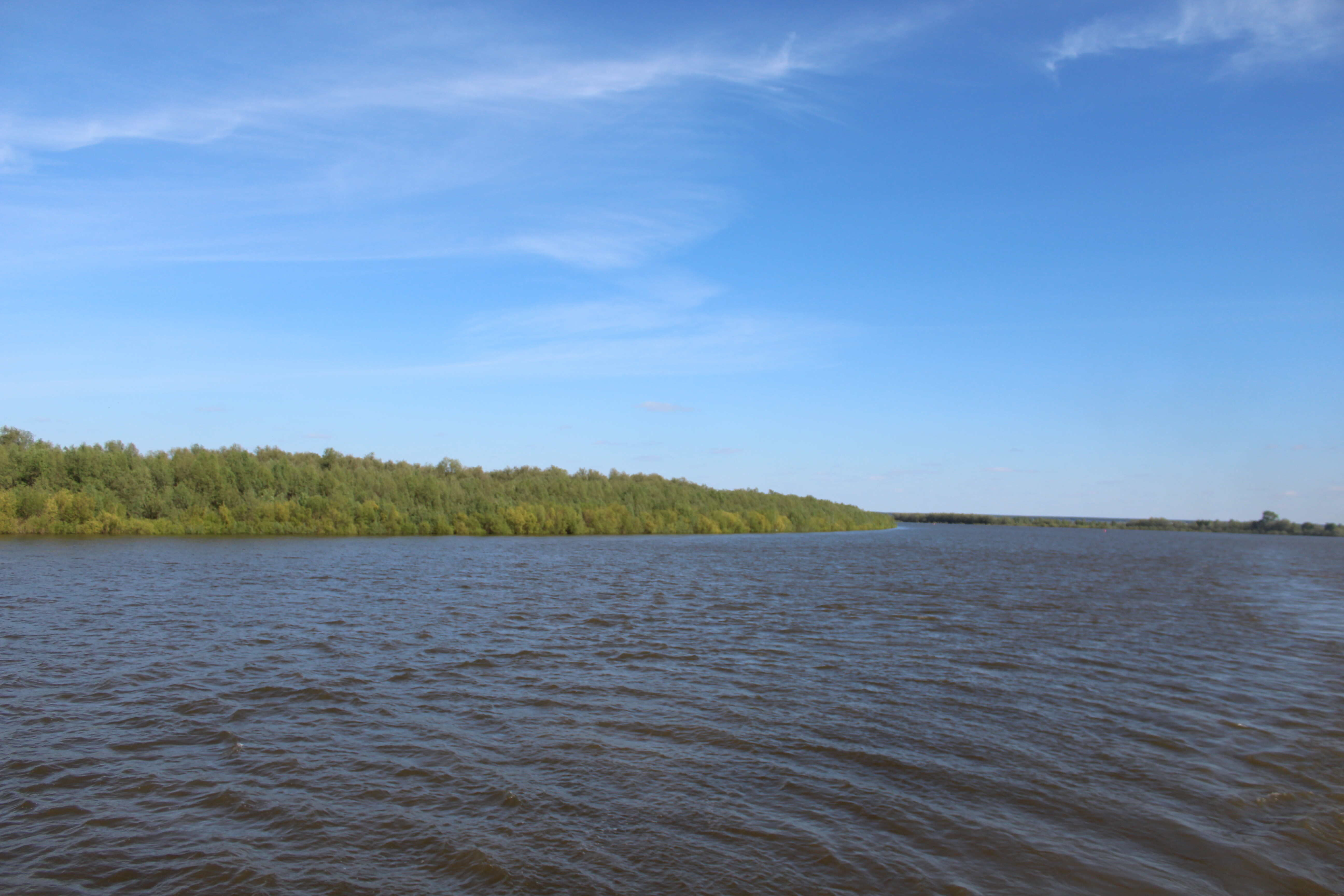 IMG_5611.jpg