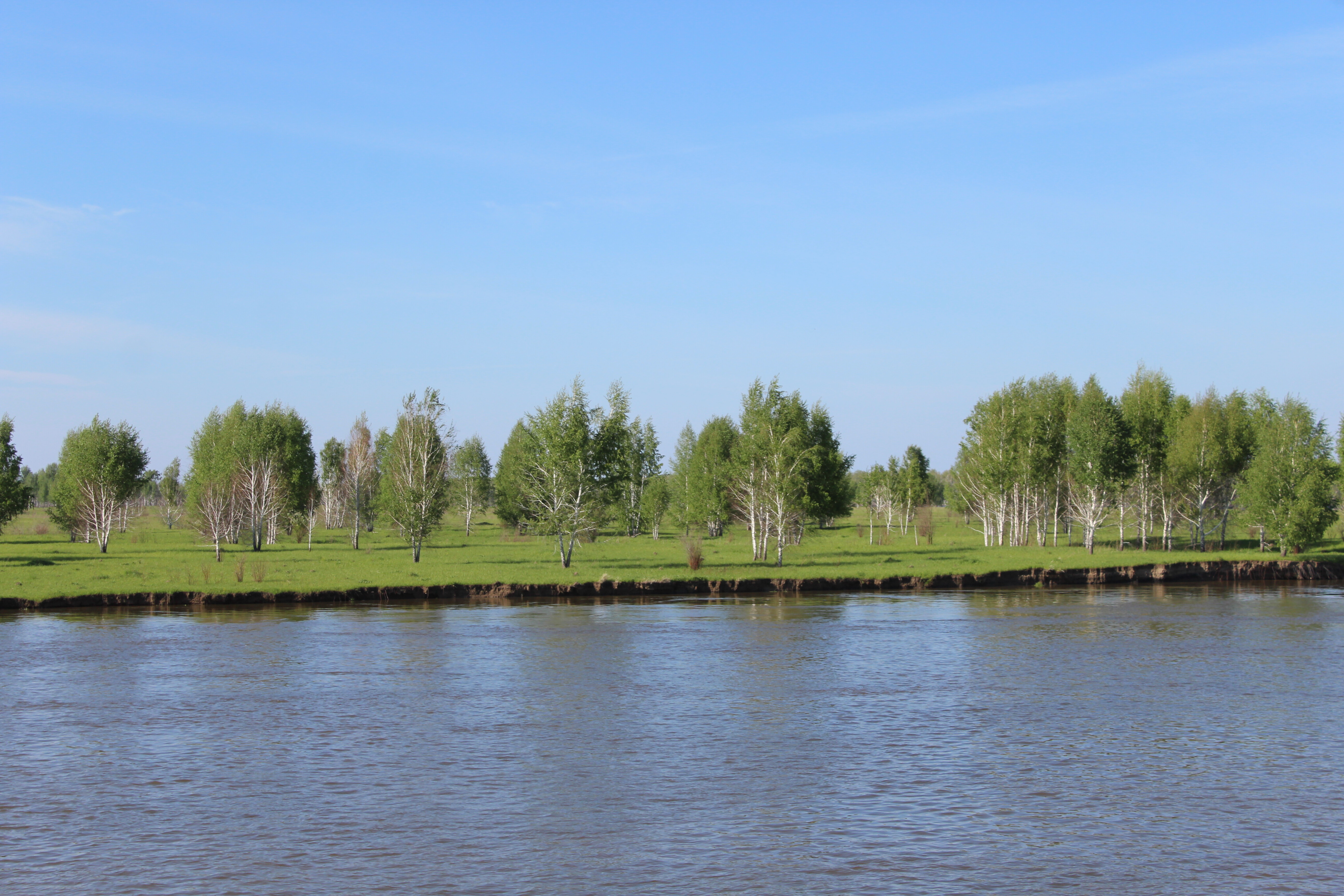 IMG_5614.jpg