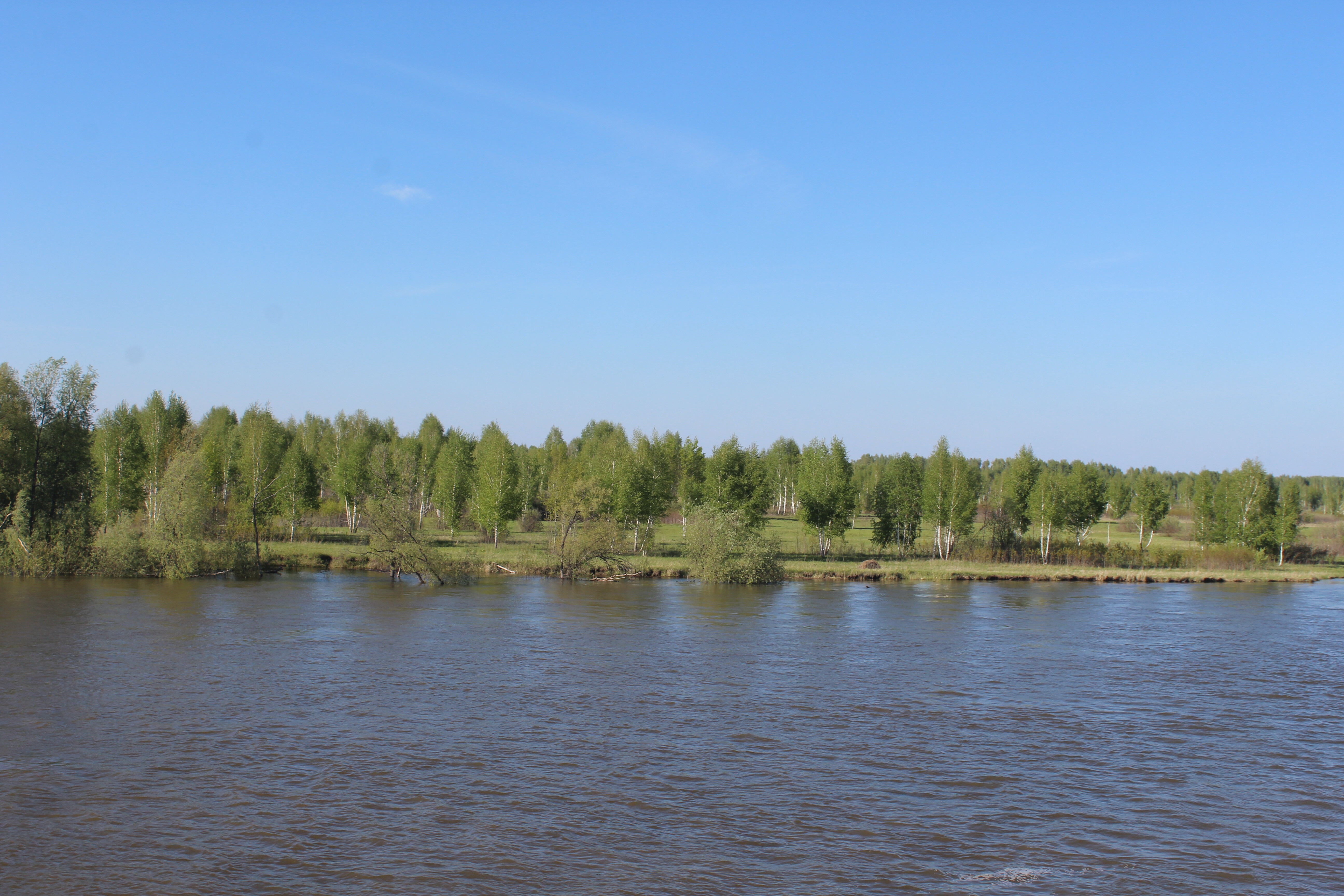 IMG_5616.jpg