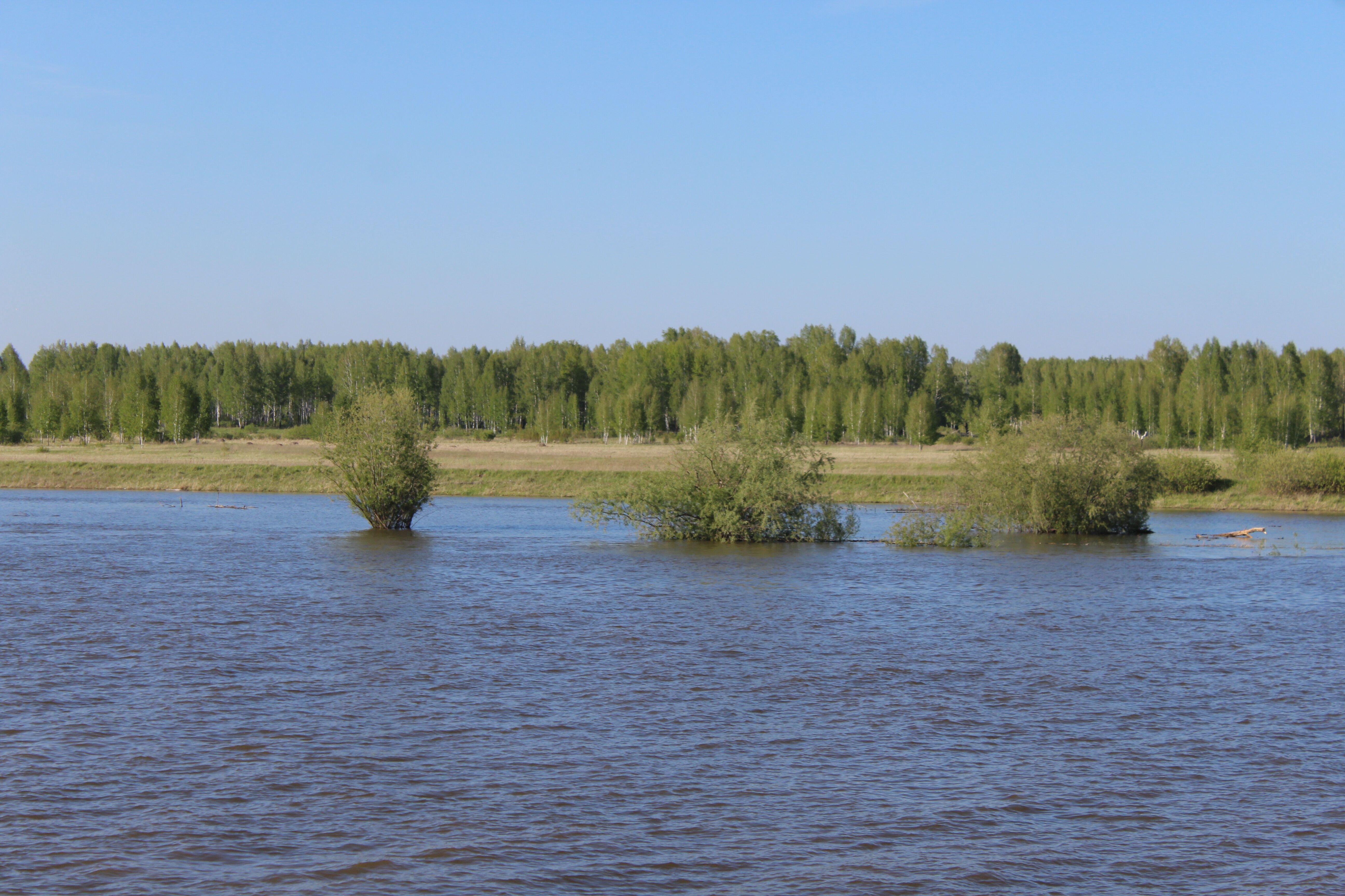 IMG_5623.jpg
