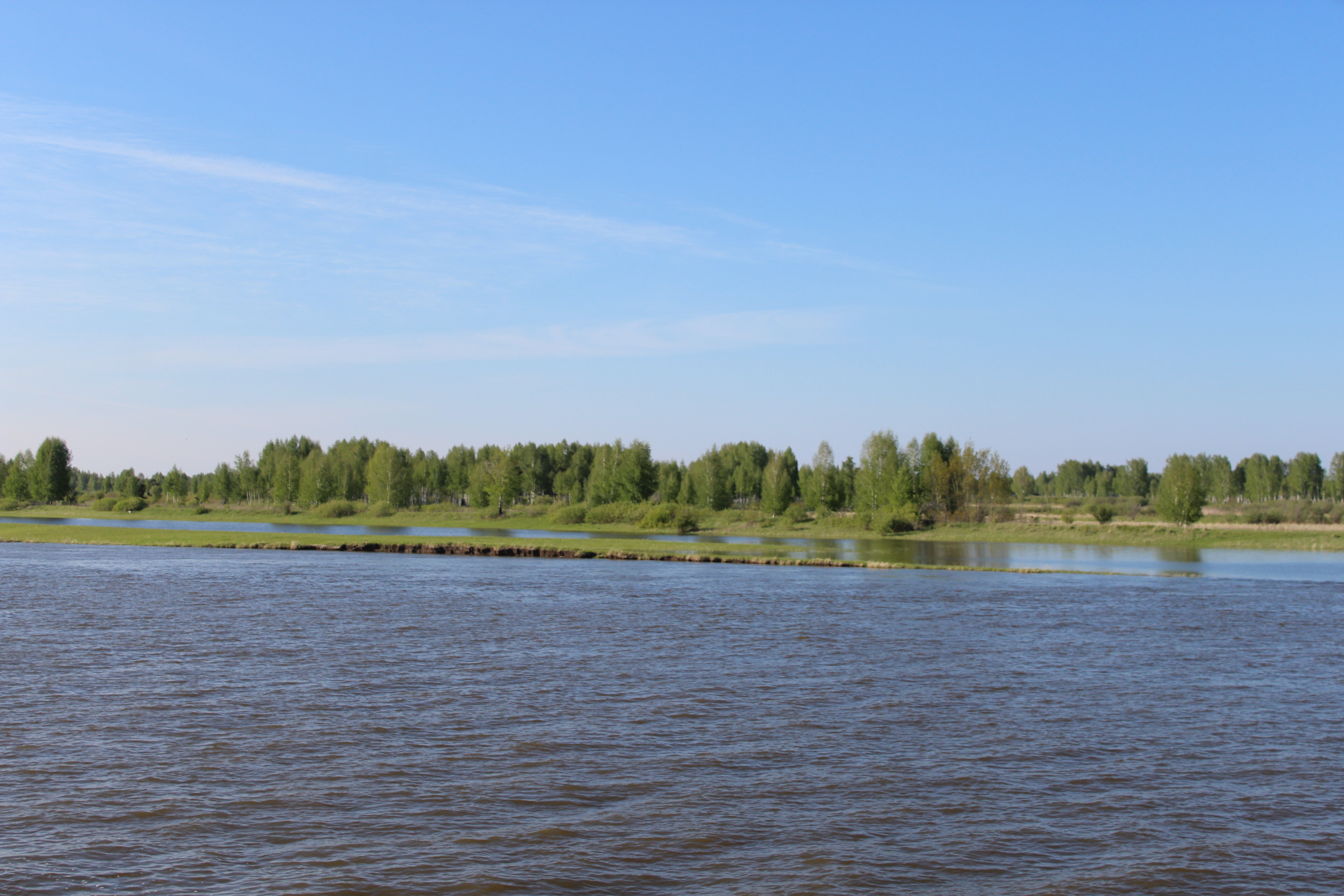 IMG_5624.jpg