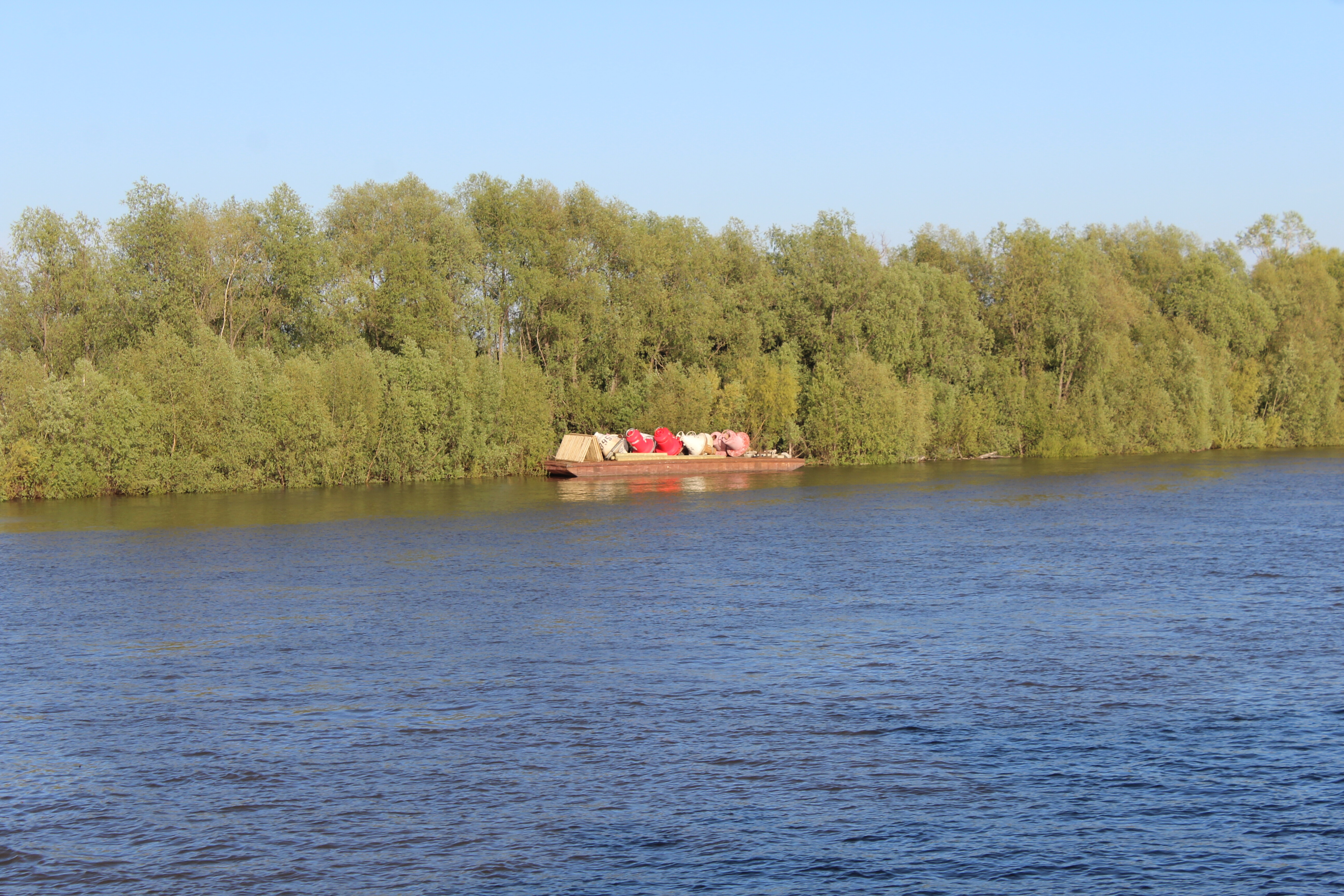 IMG_5625.jpg