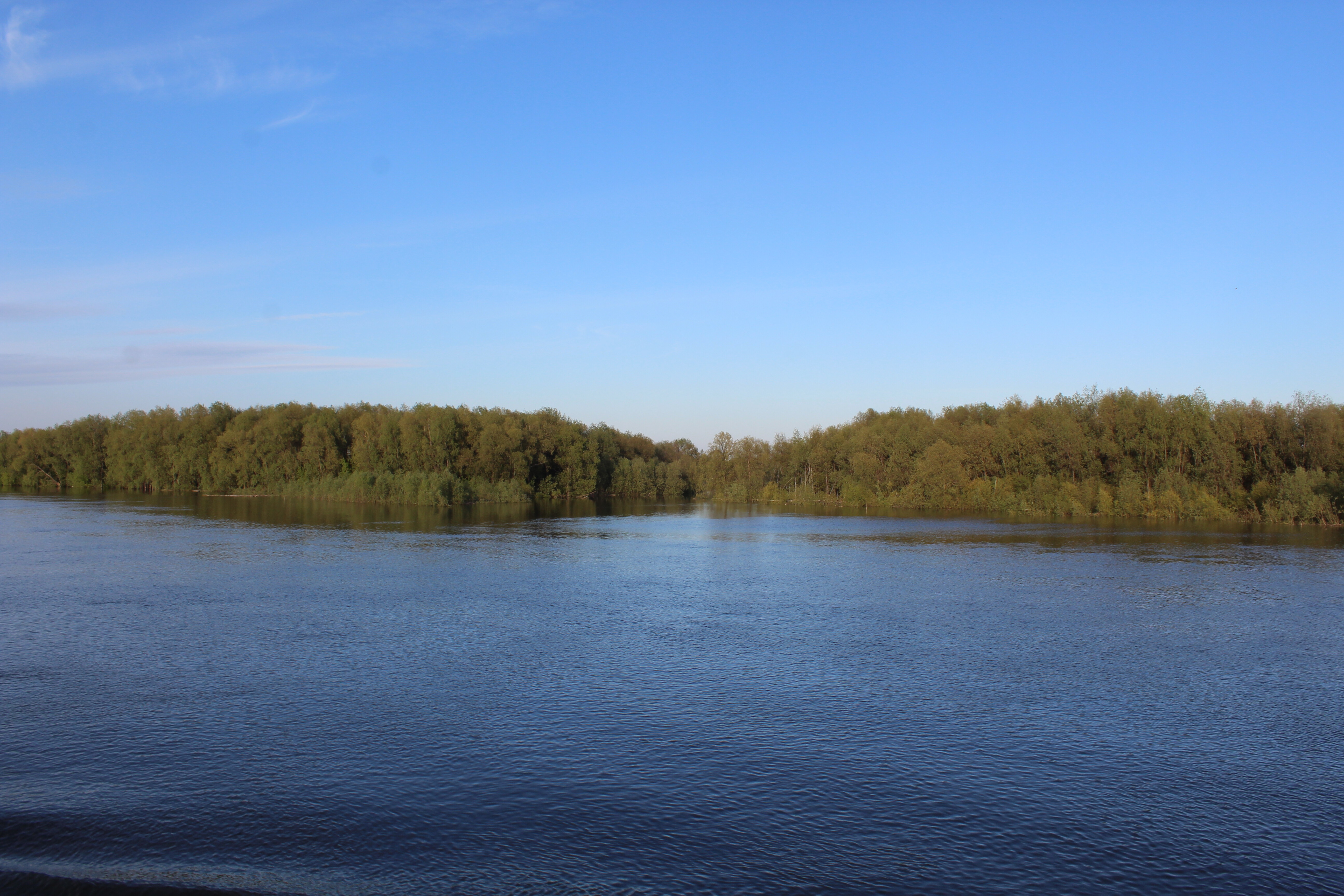 IMG_5630.jpg
