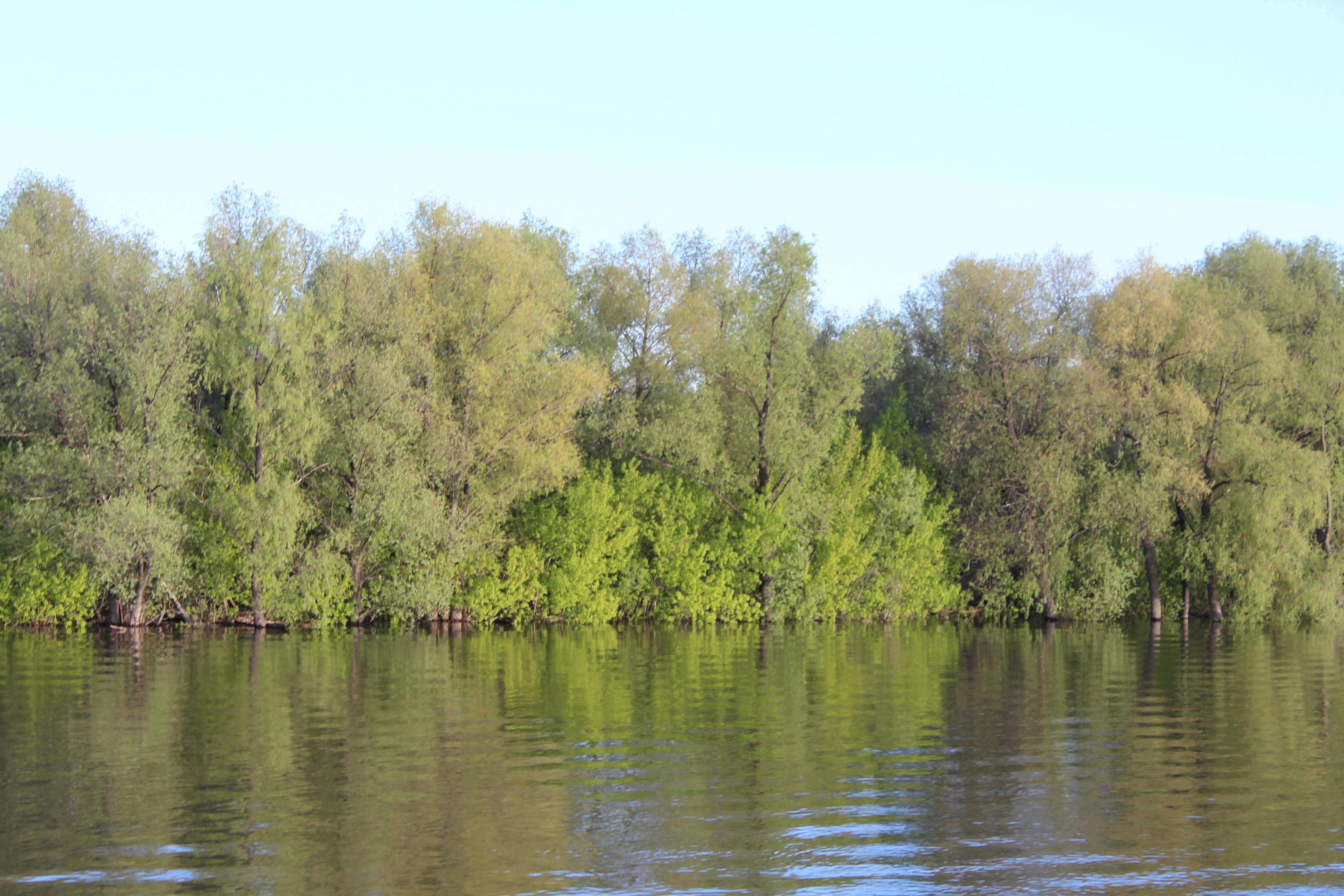 IMG_5633.jpg