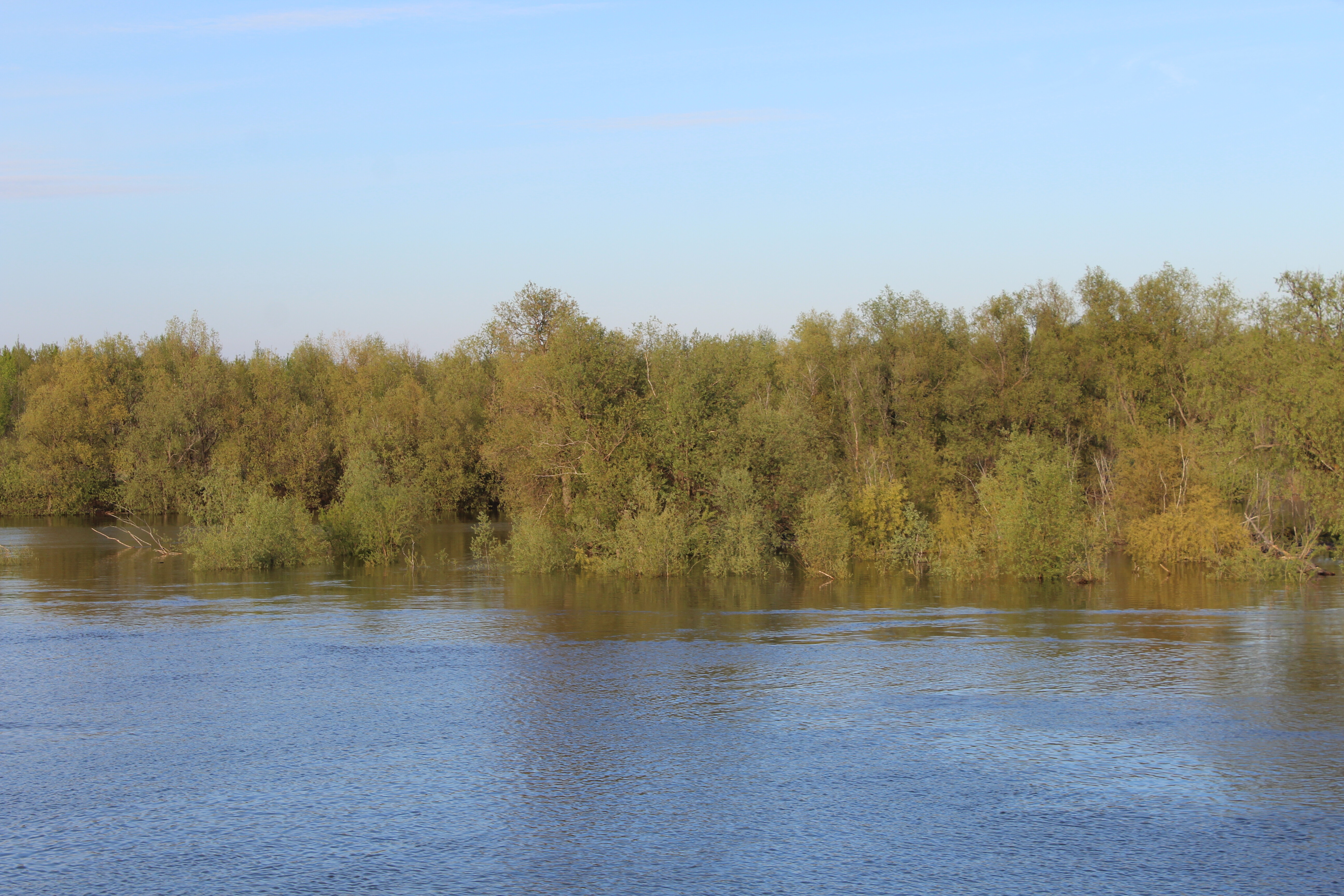 IMG_5644.jpg