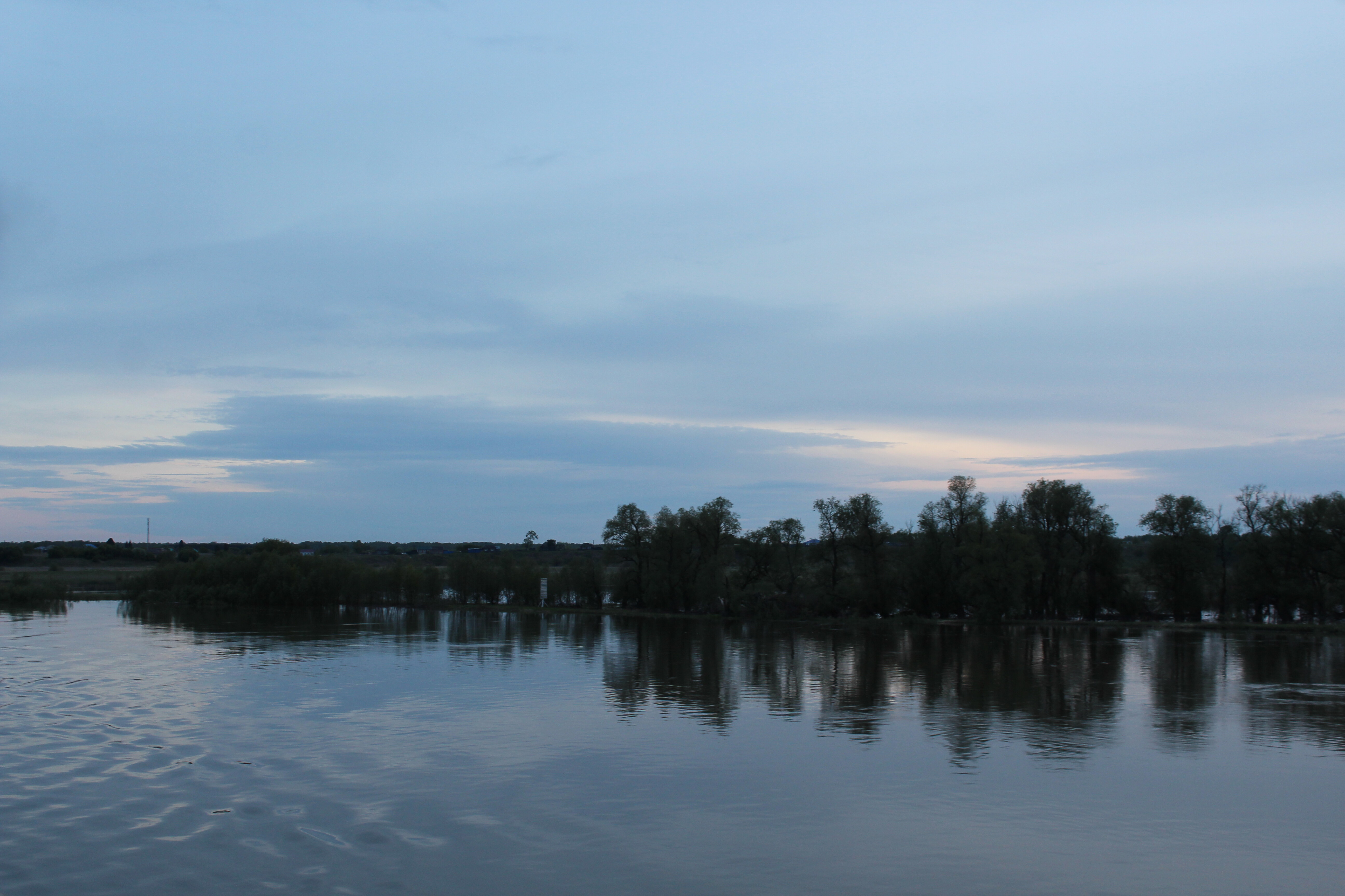 IMG_5645.jpg