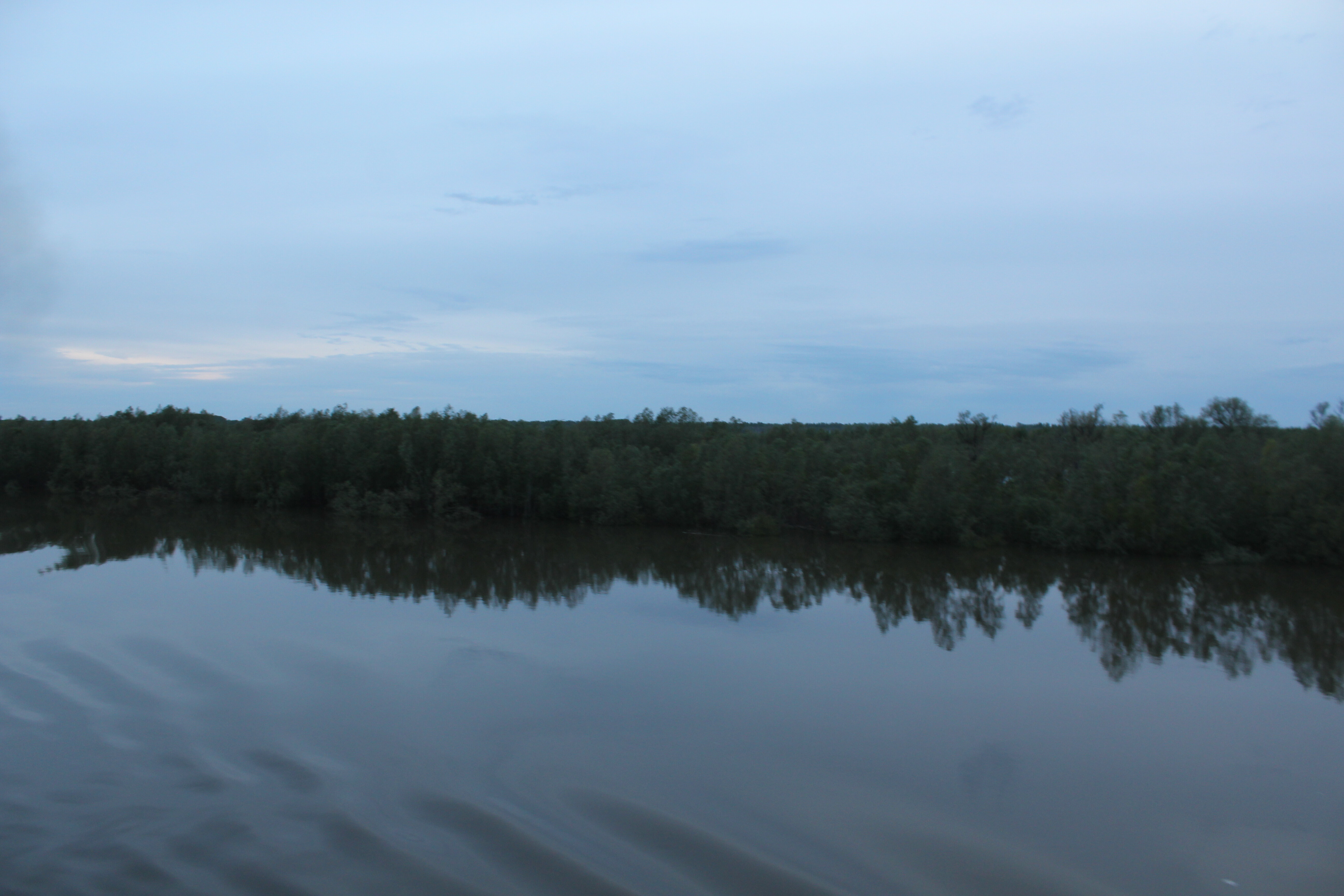 IMG_5649.jpg