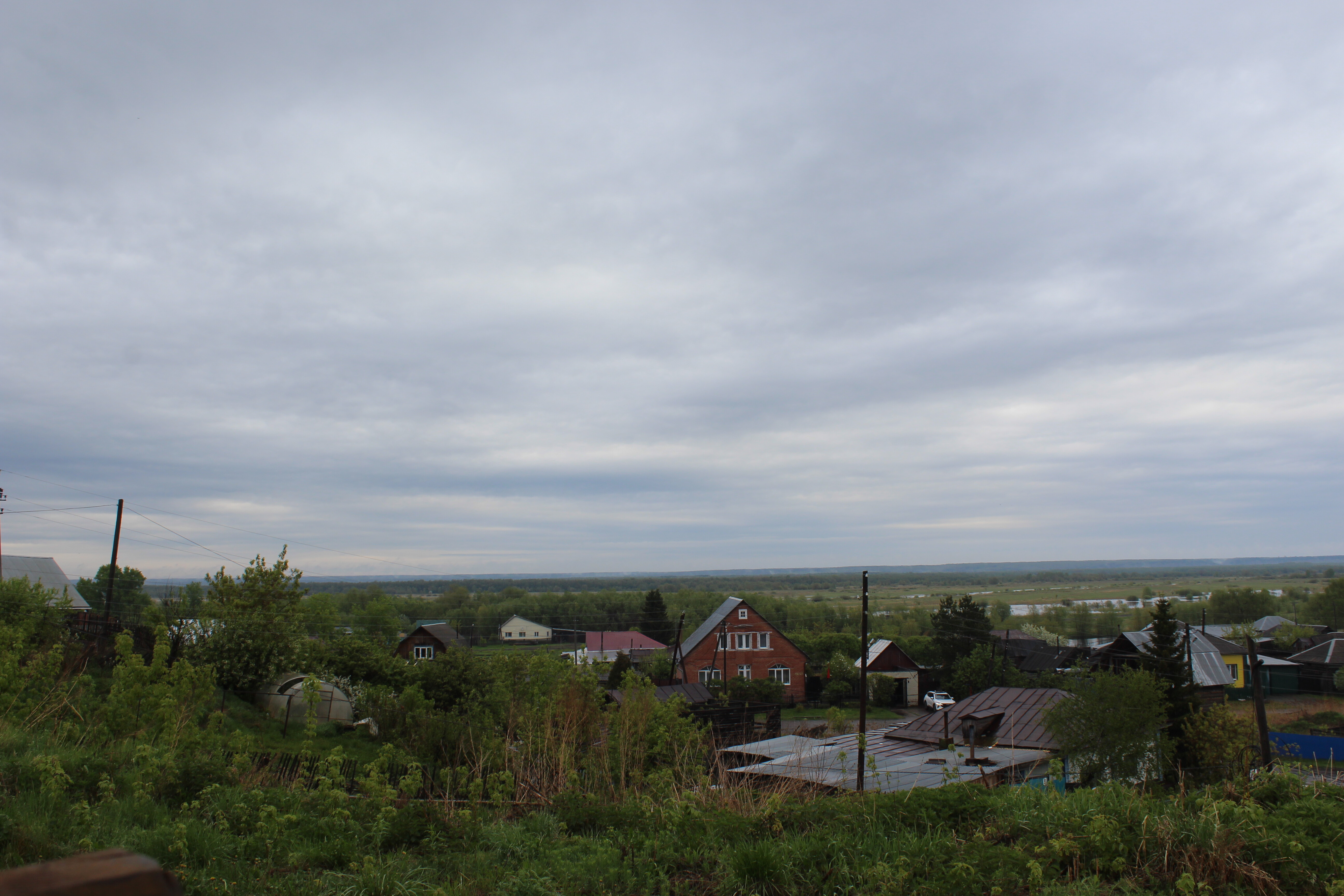 IMG_5699.jpg