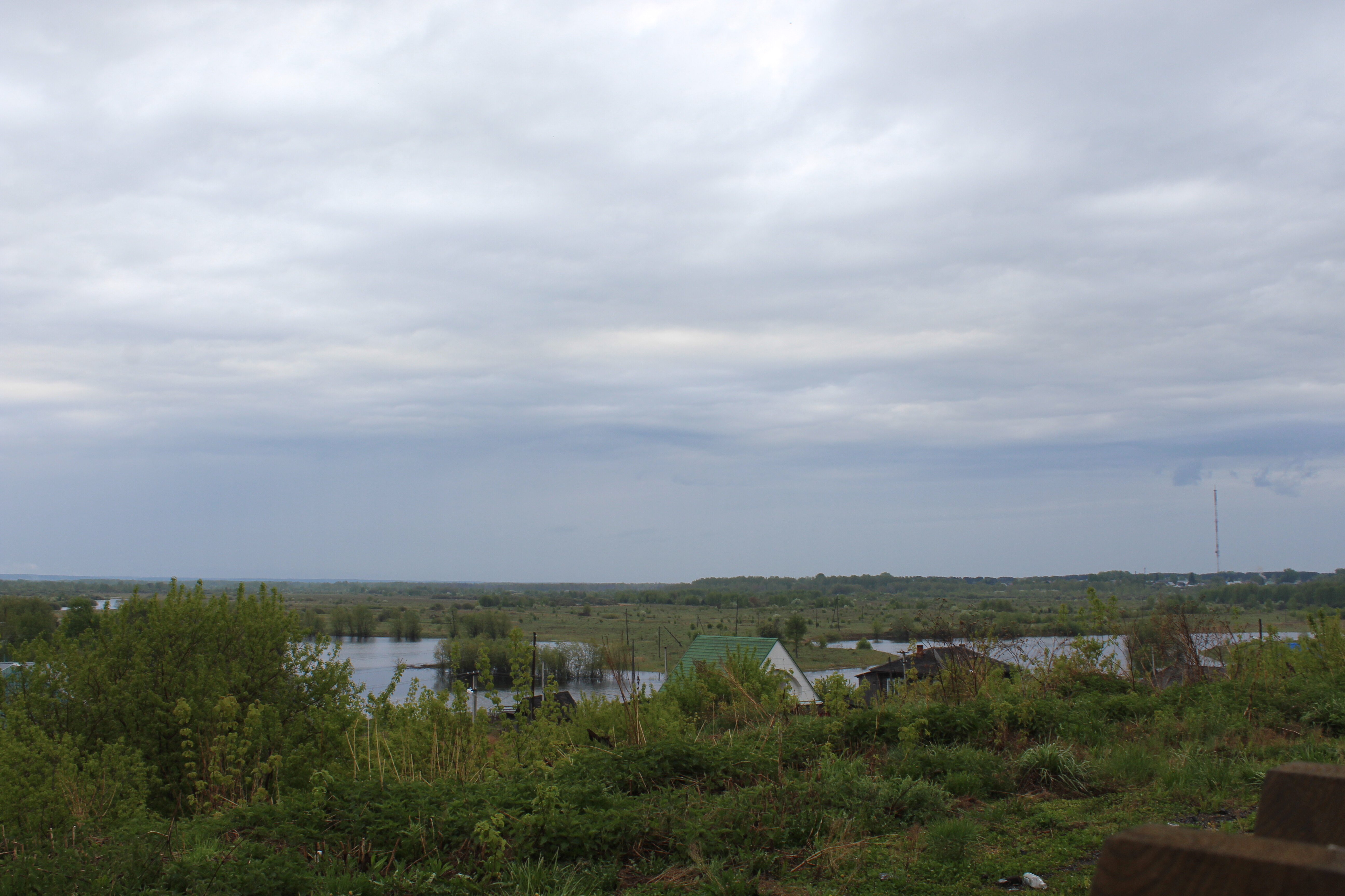 IMG_5701.jpg