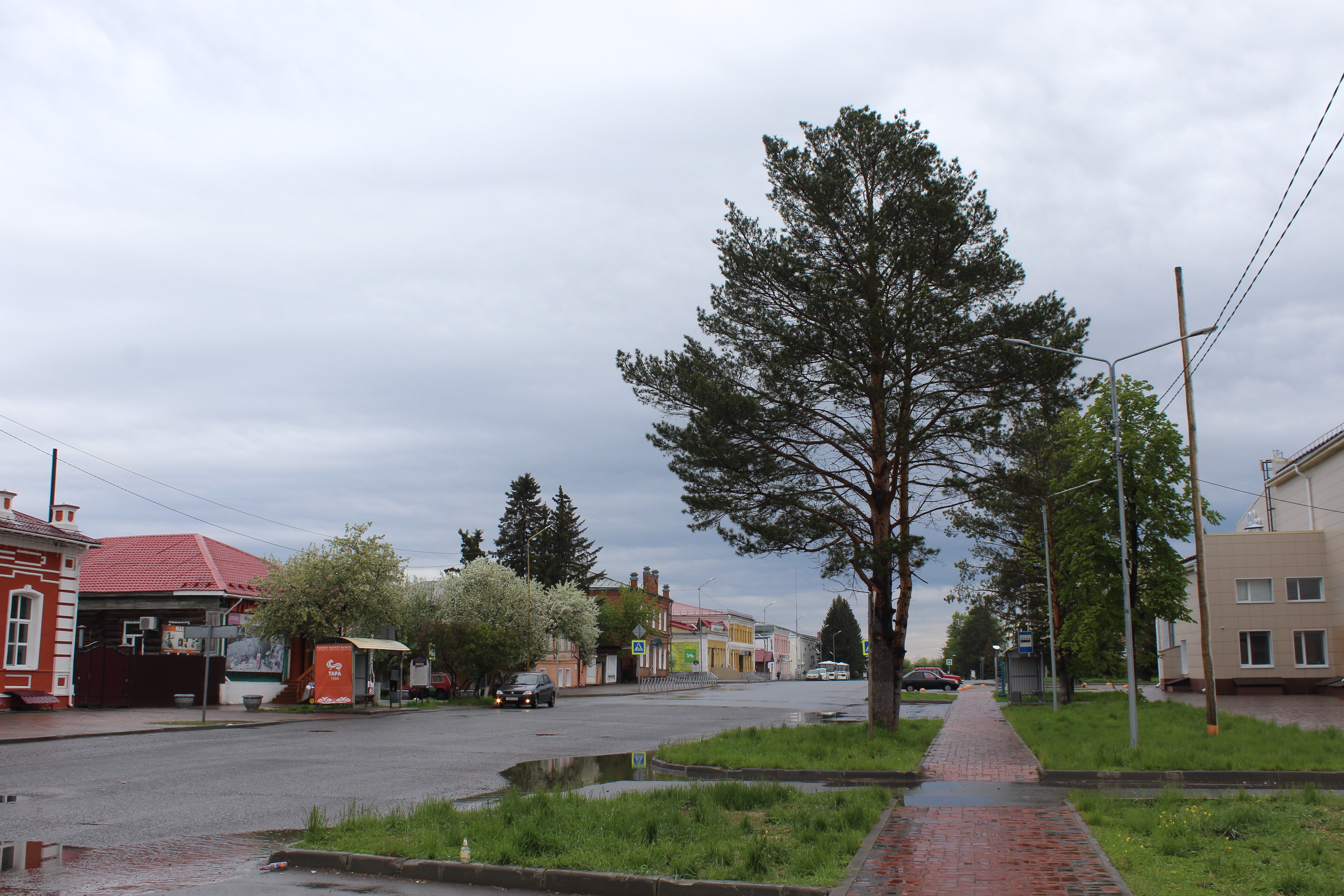 IMG_5703.jpg