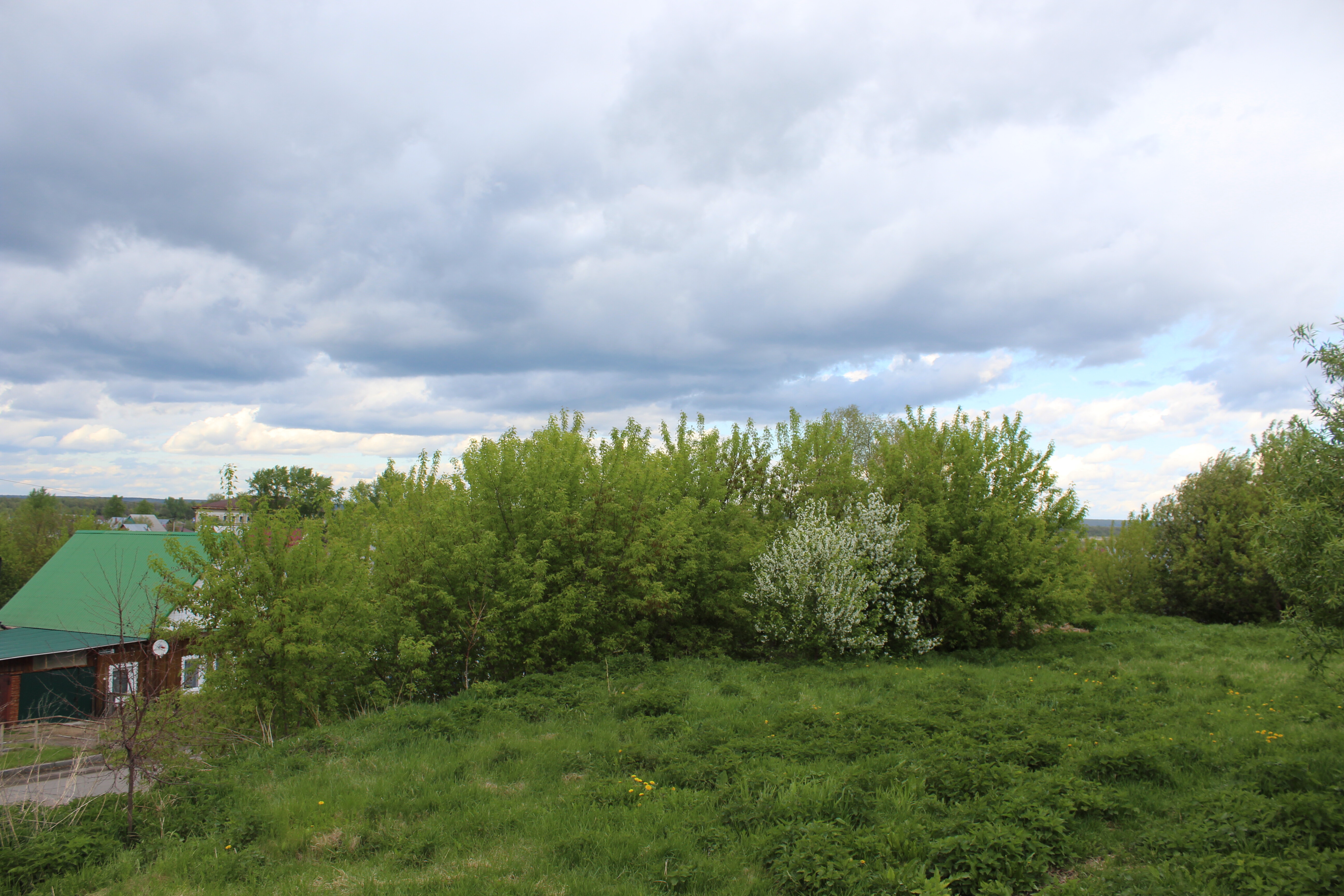 IMG_5962.jpg