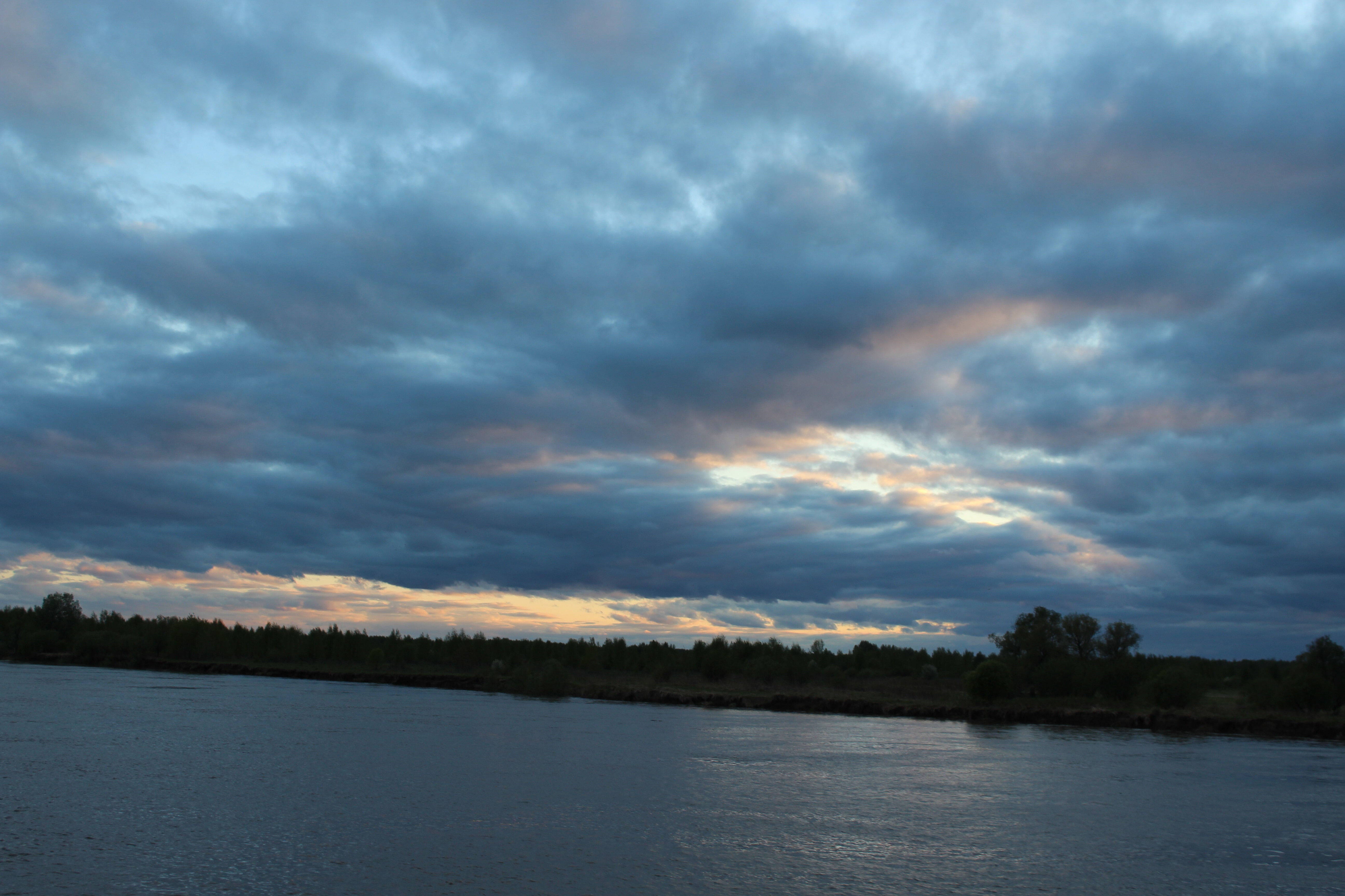 IMG_5991.jpg