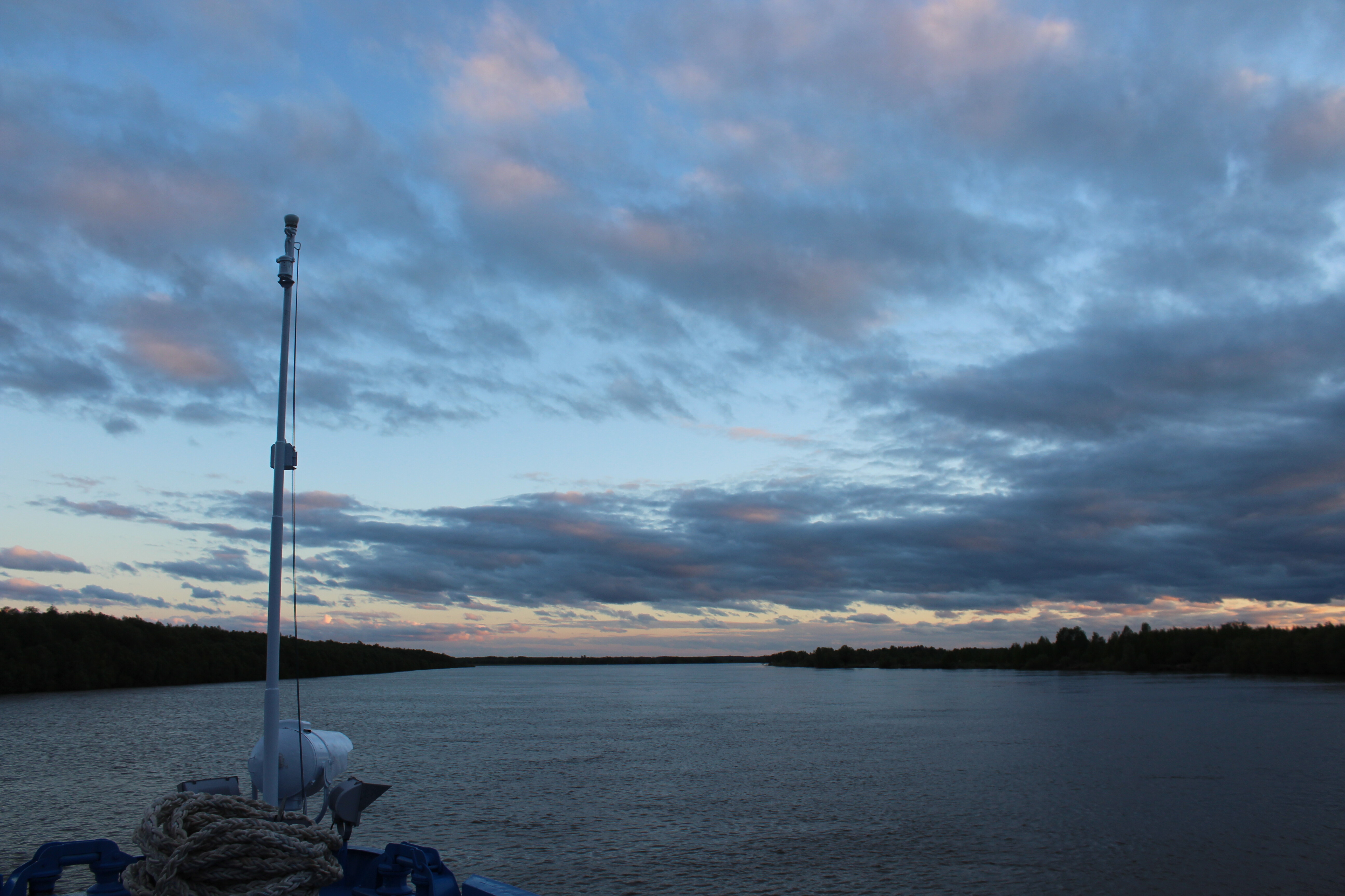 IMG_5993.jpg