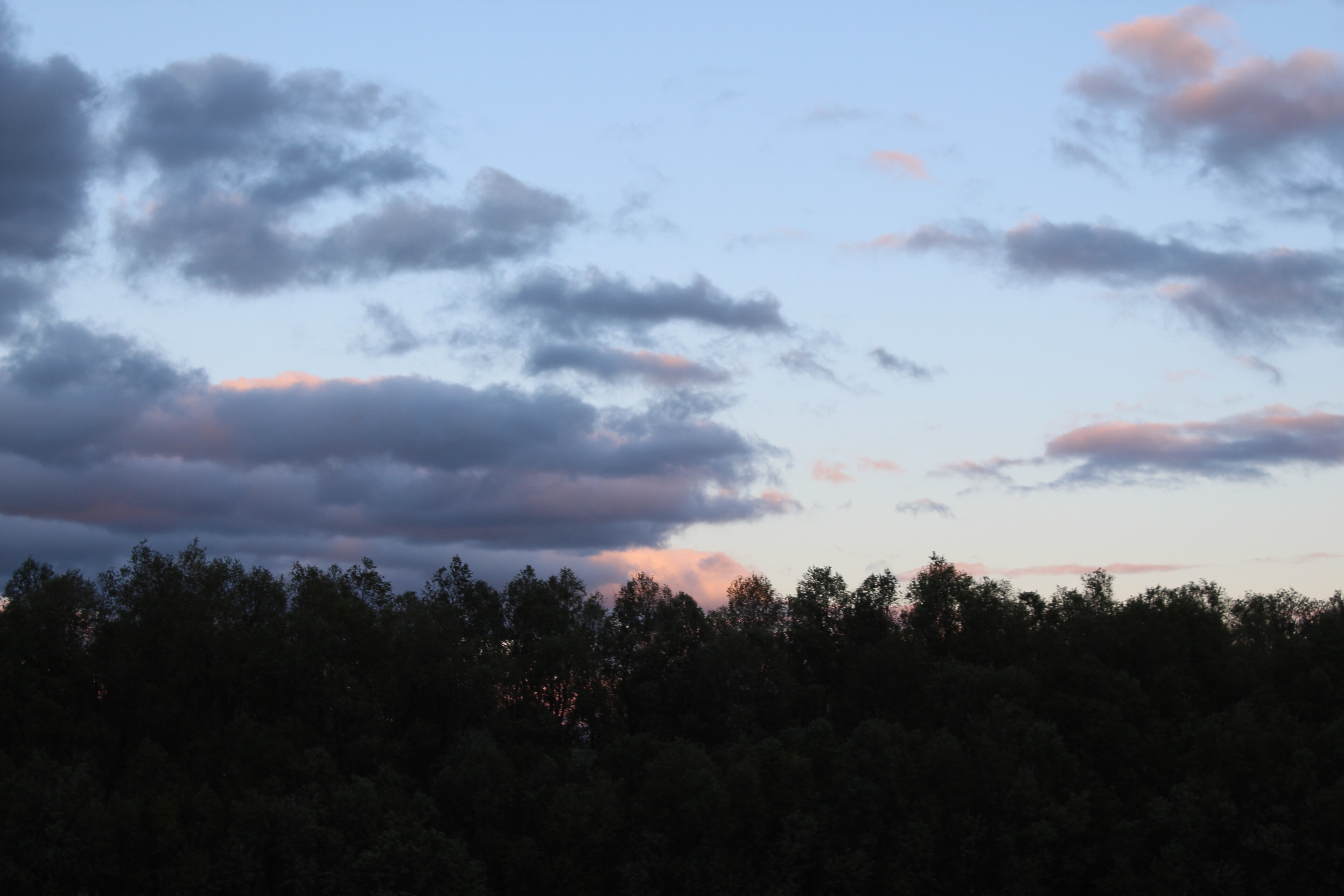IMG_5995.jpg