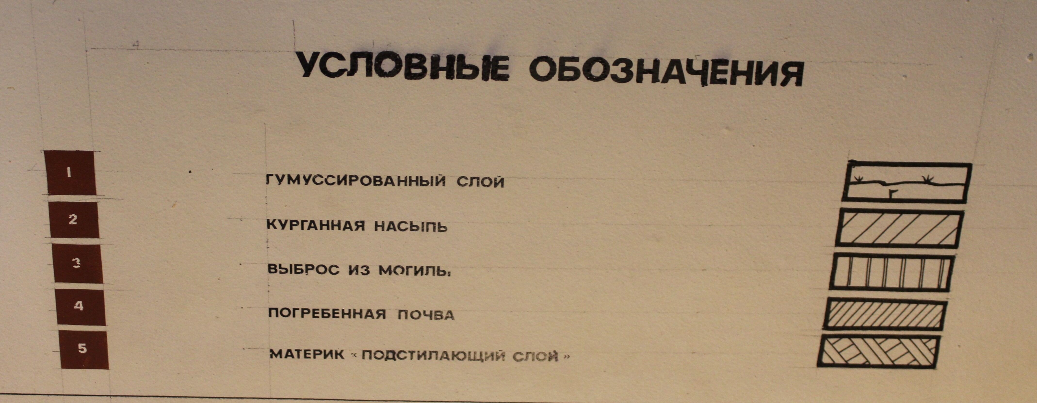 IMG_6115.jpg