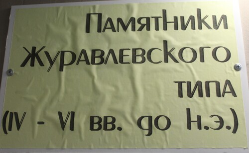 IMG_6119.md.jpg