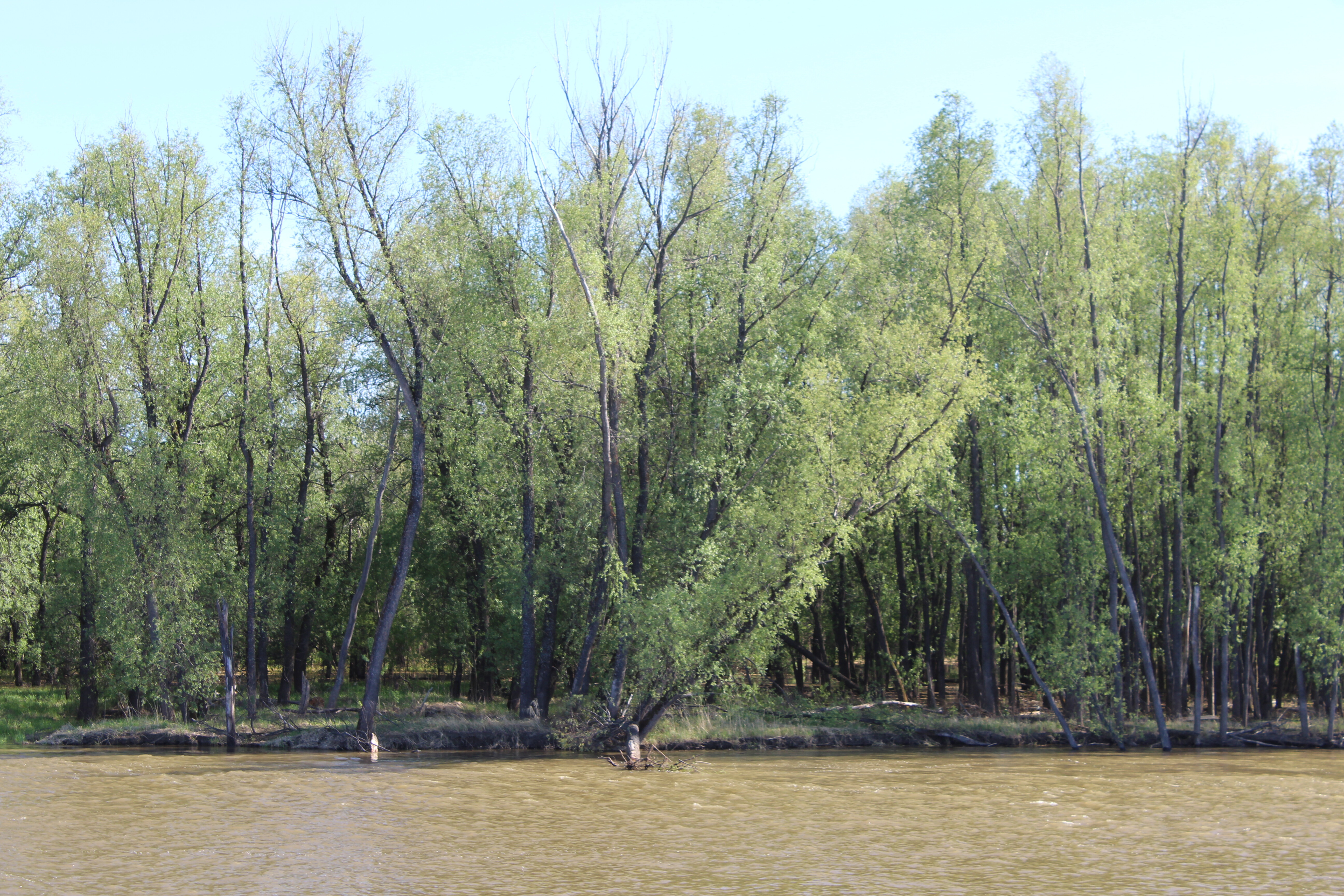 IMG_6215.jpg