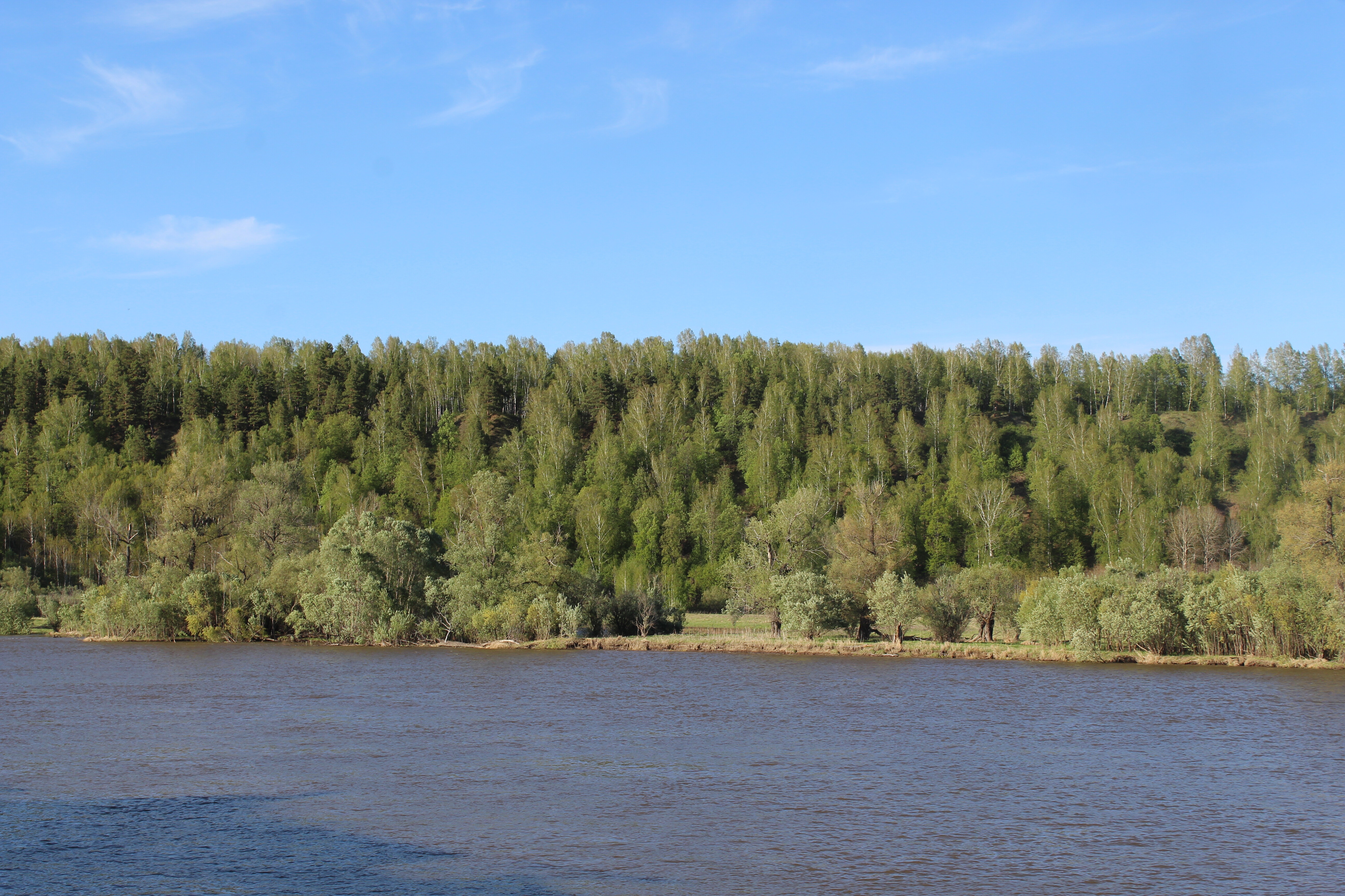 IMG_6239.jpg