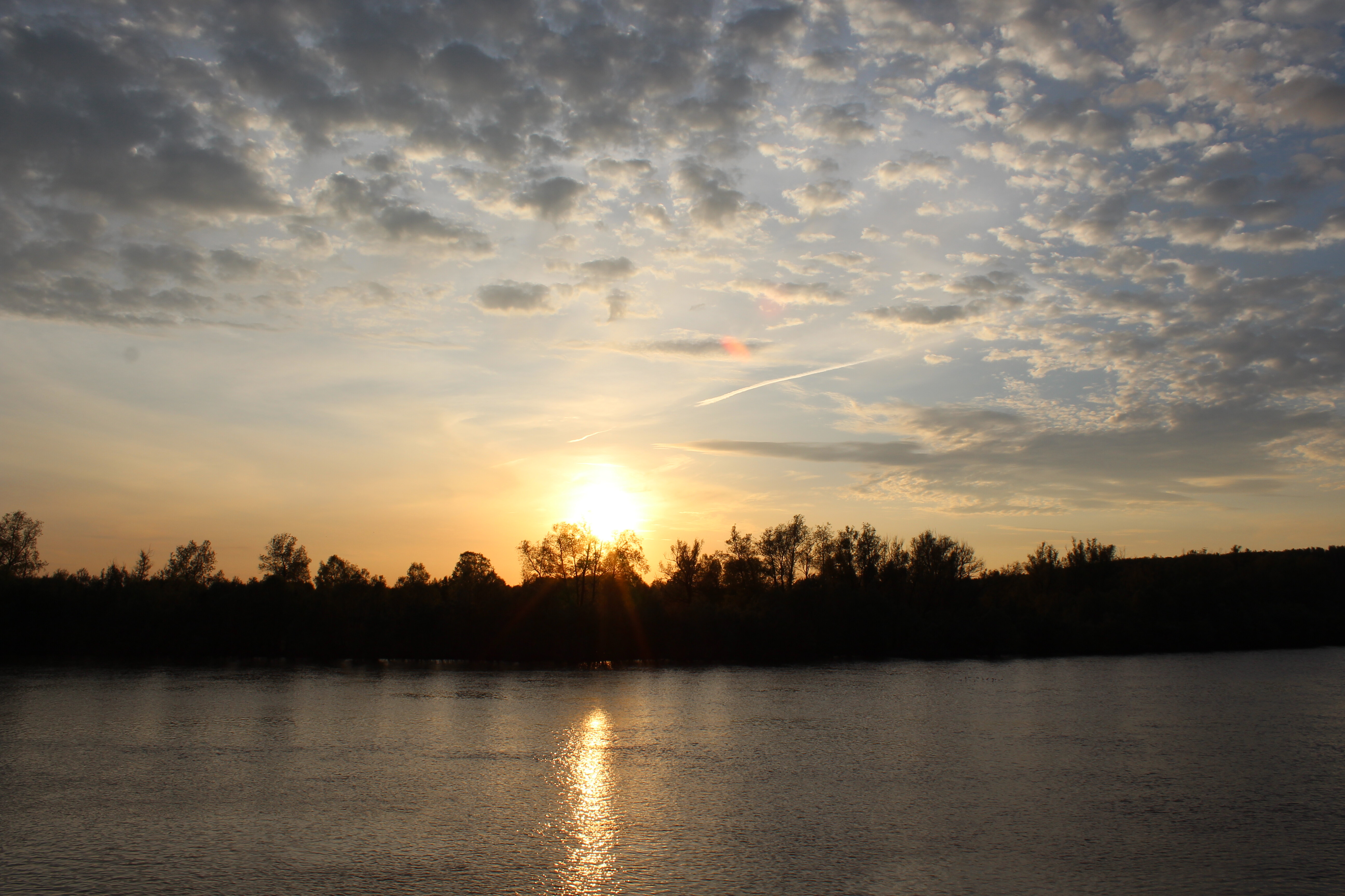 IMG_6263.jpg