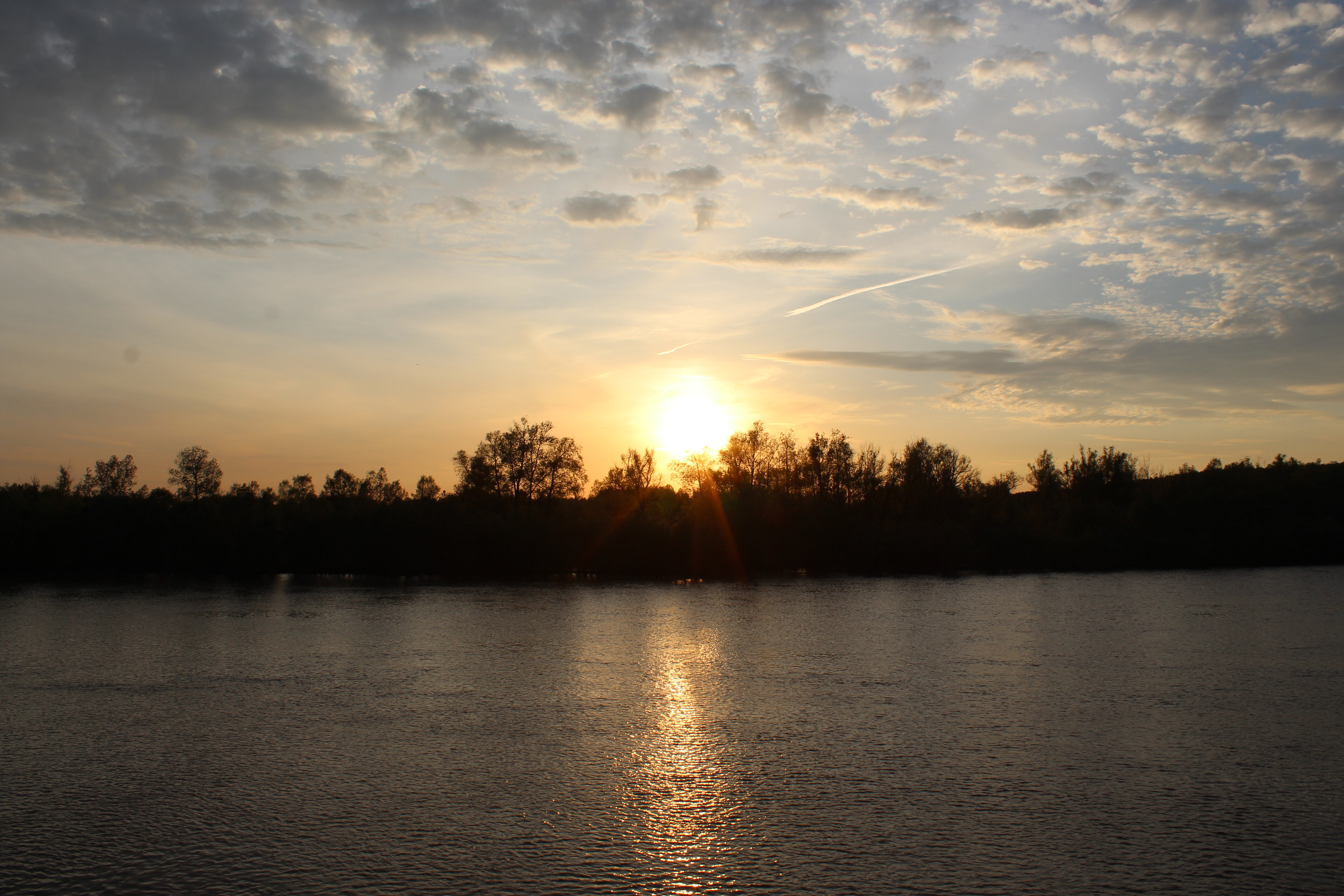 IMG_6264.jpg