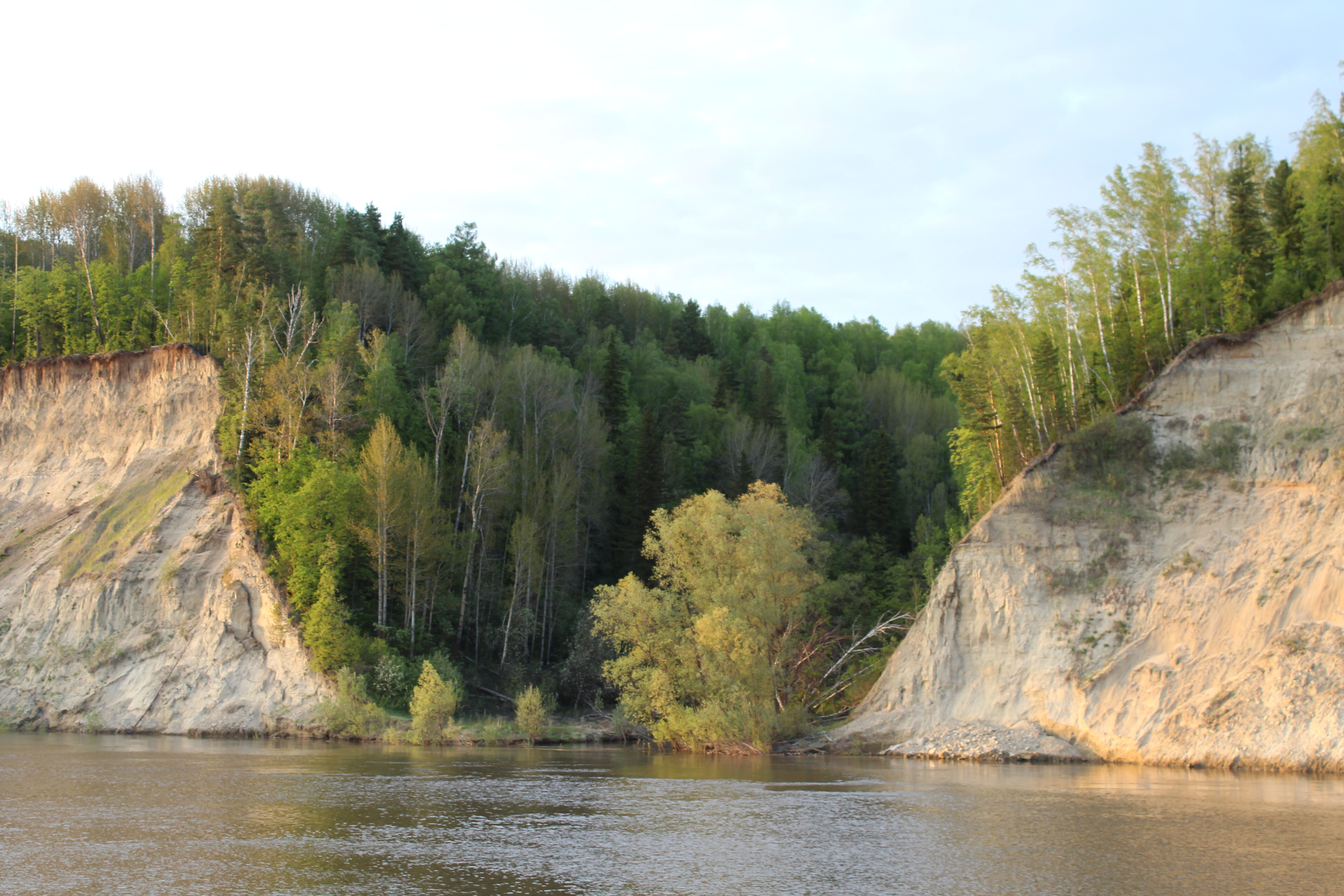 IMG_6271.jpg