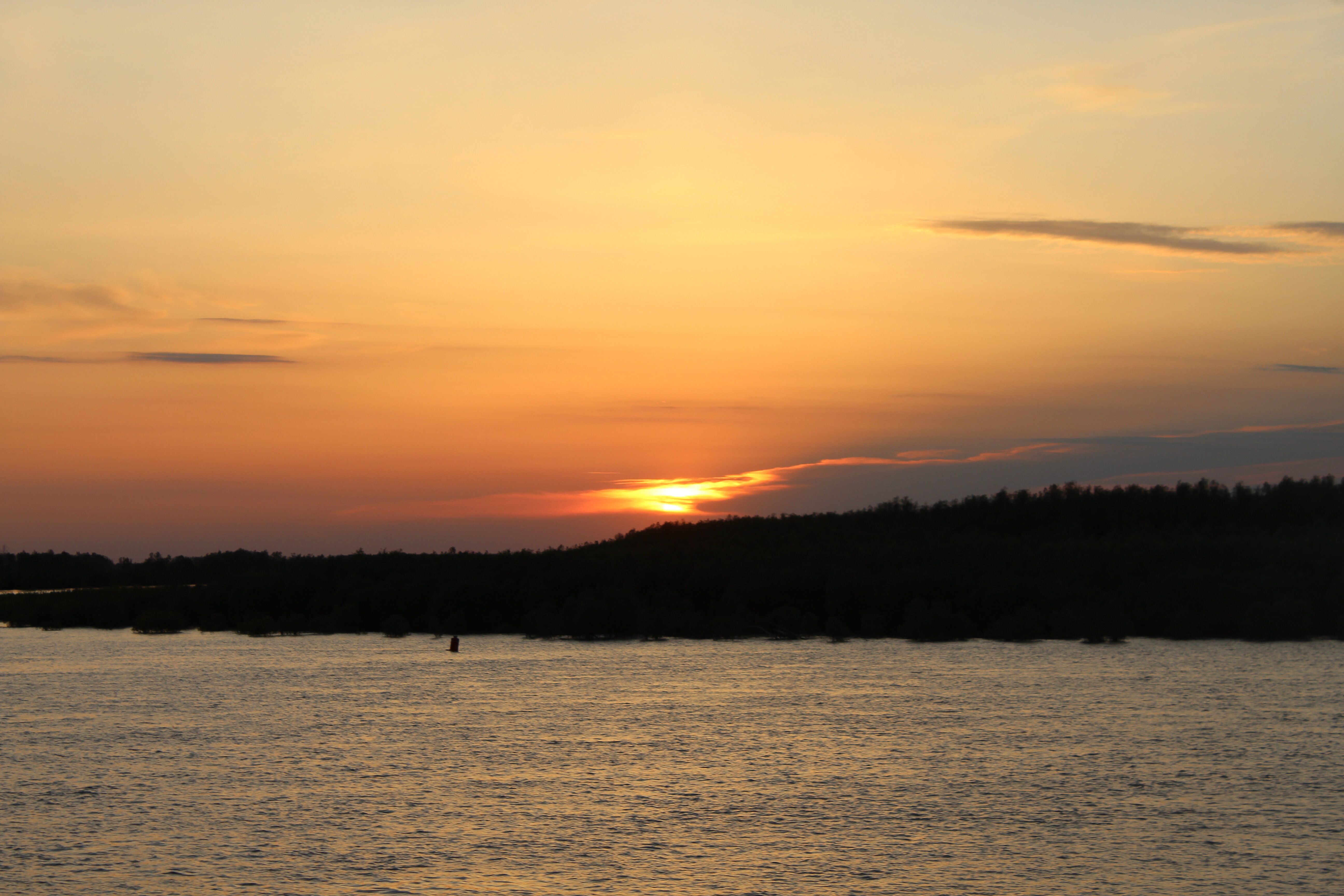 IMG_6291.jpg