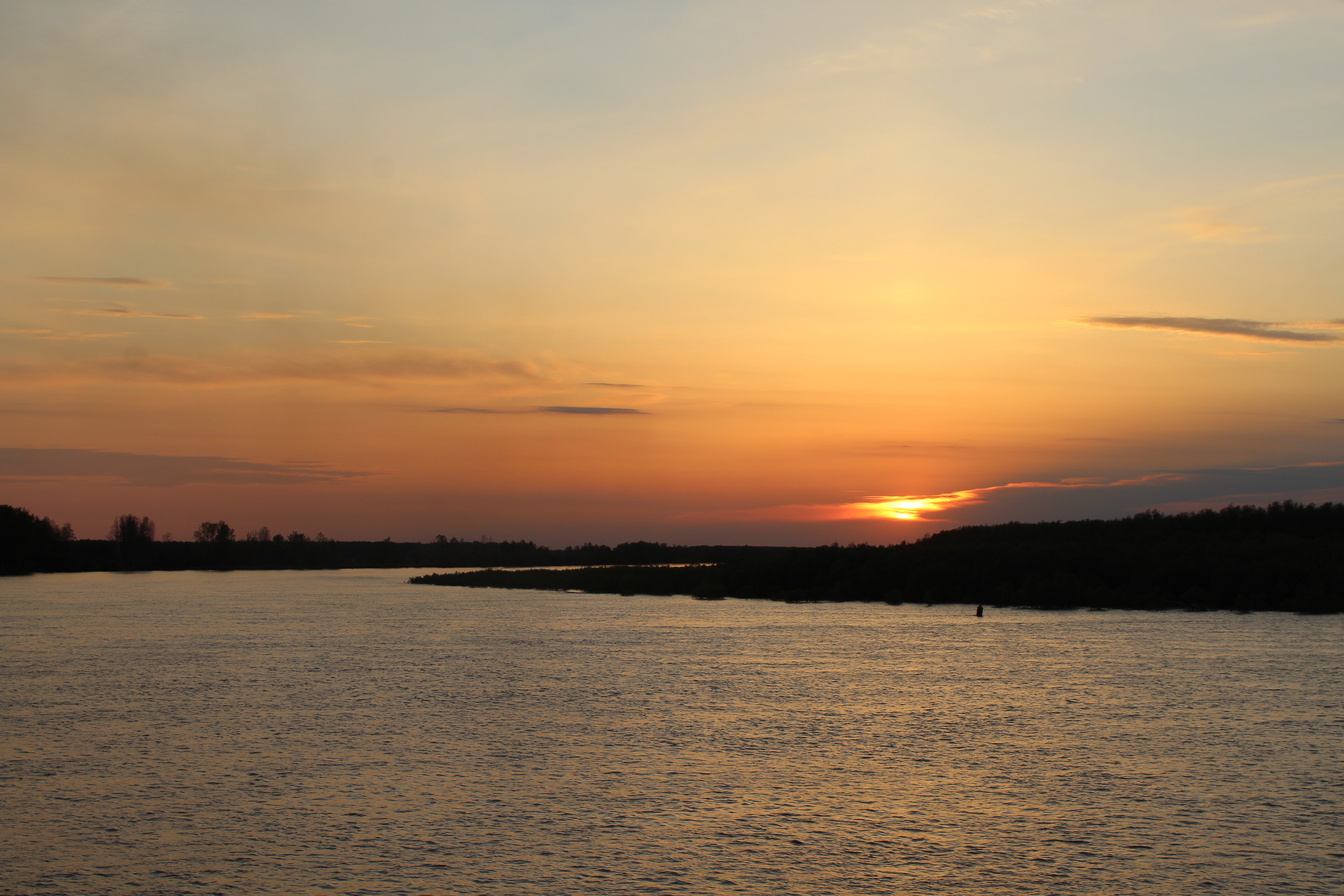 IMG_6292.jpg