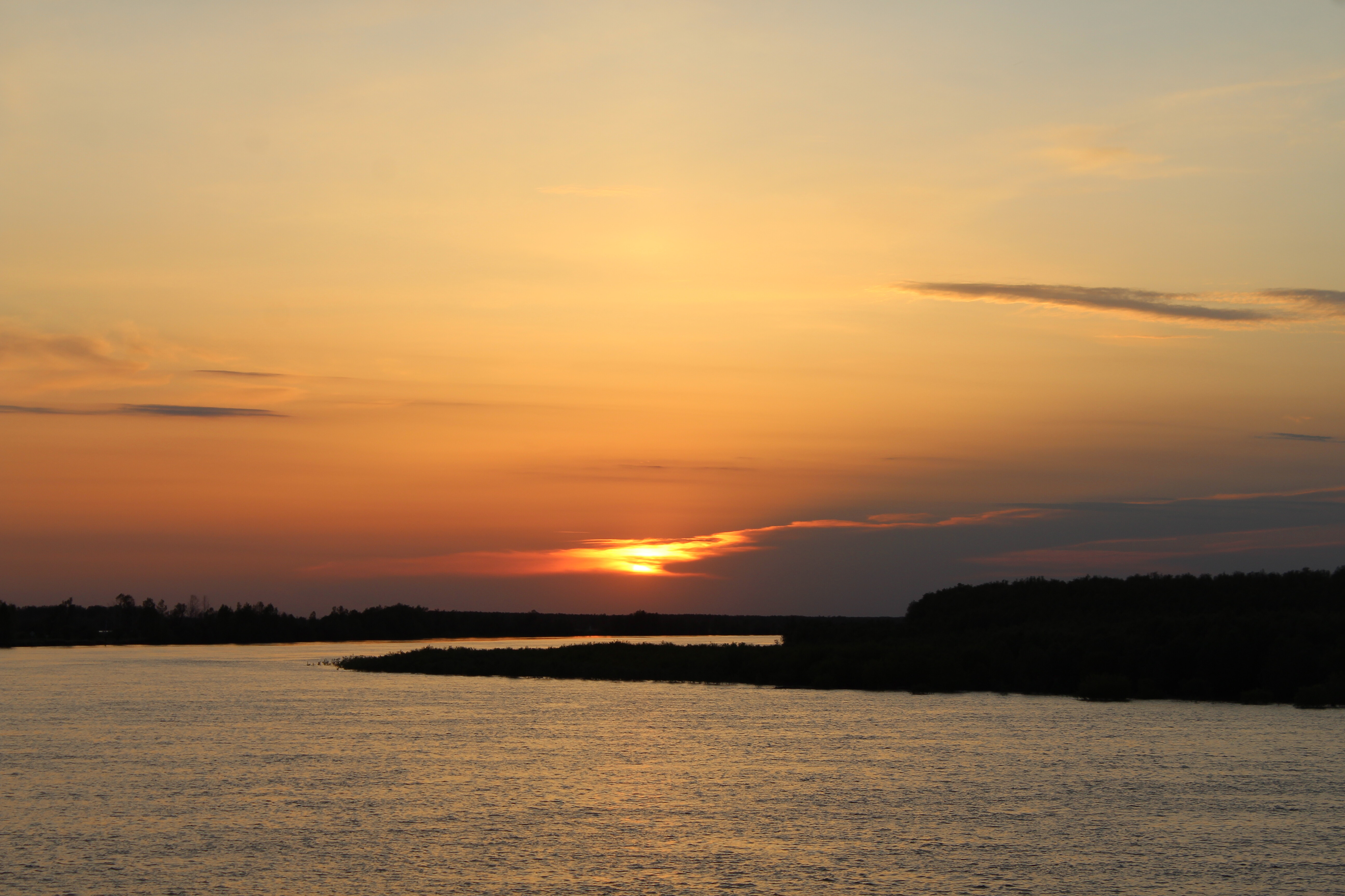 IMG_6294.jpg