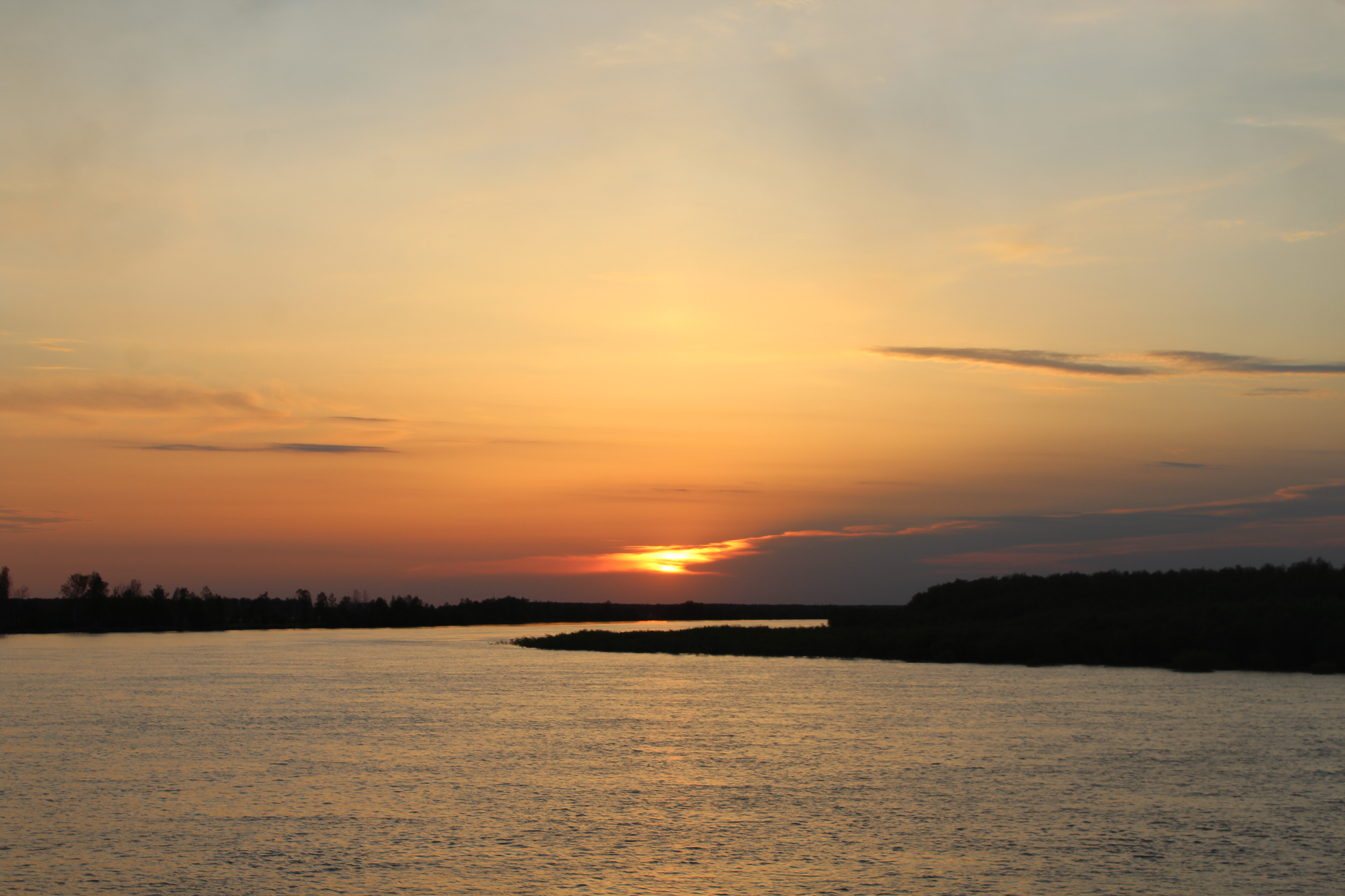 IMG_6295.jpg