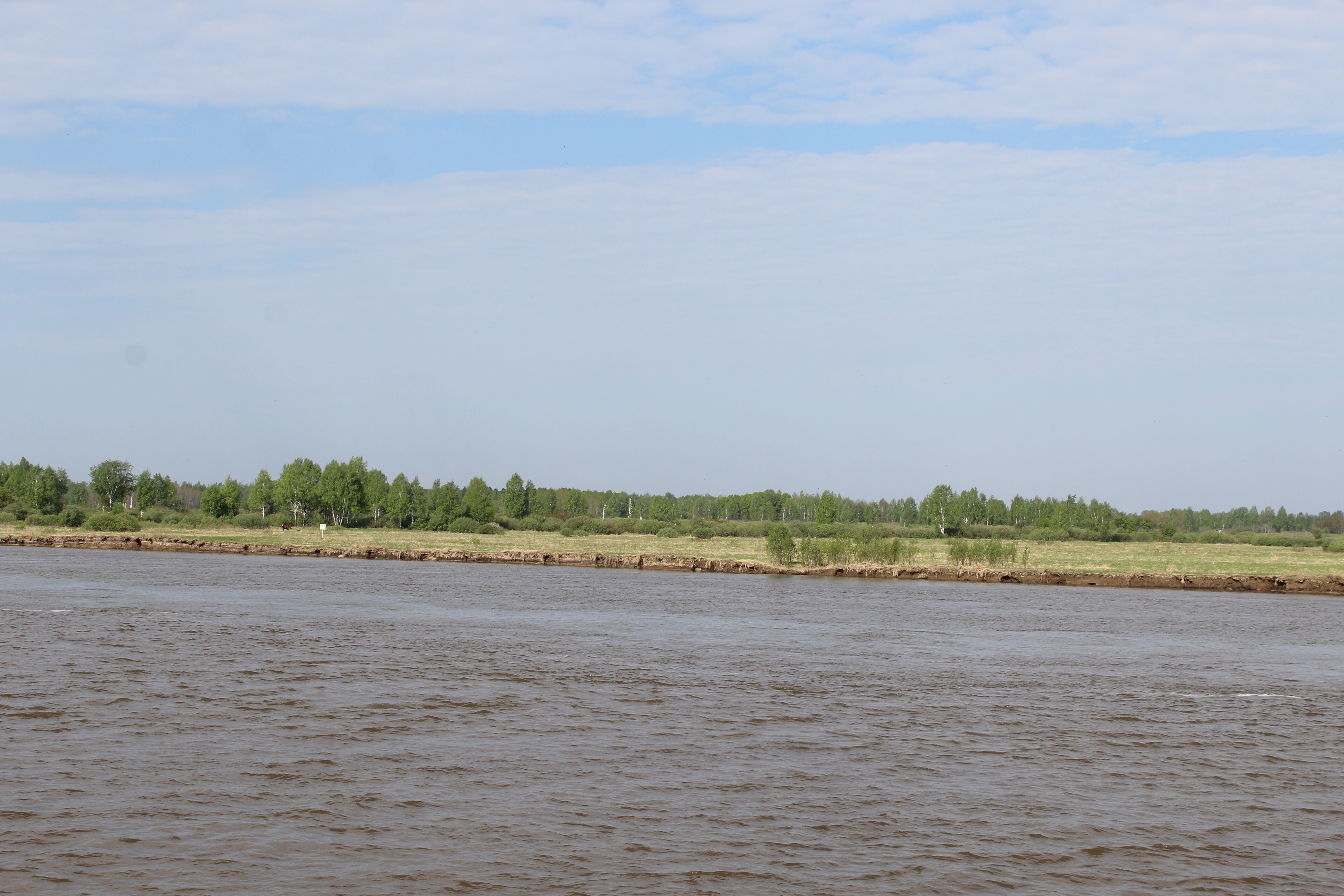 IMG_6306.jpg