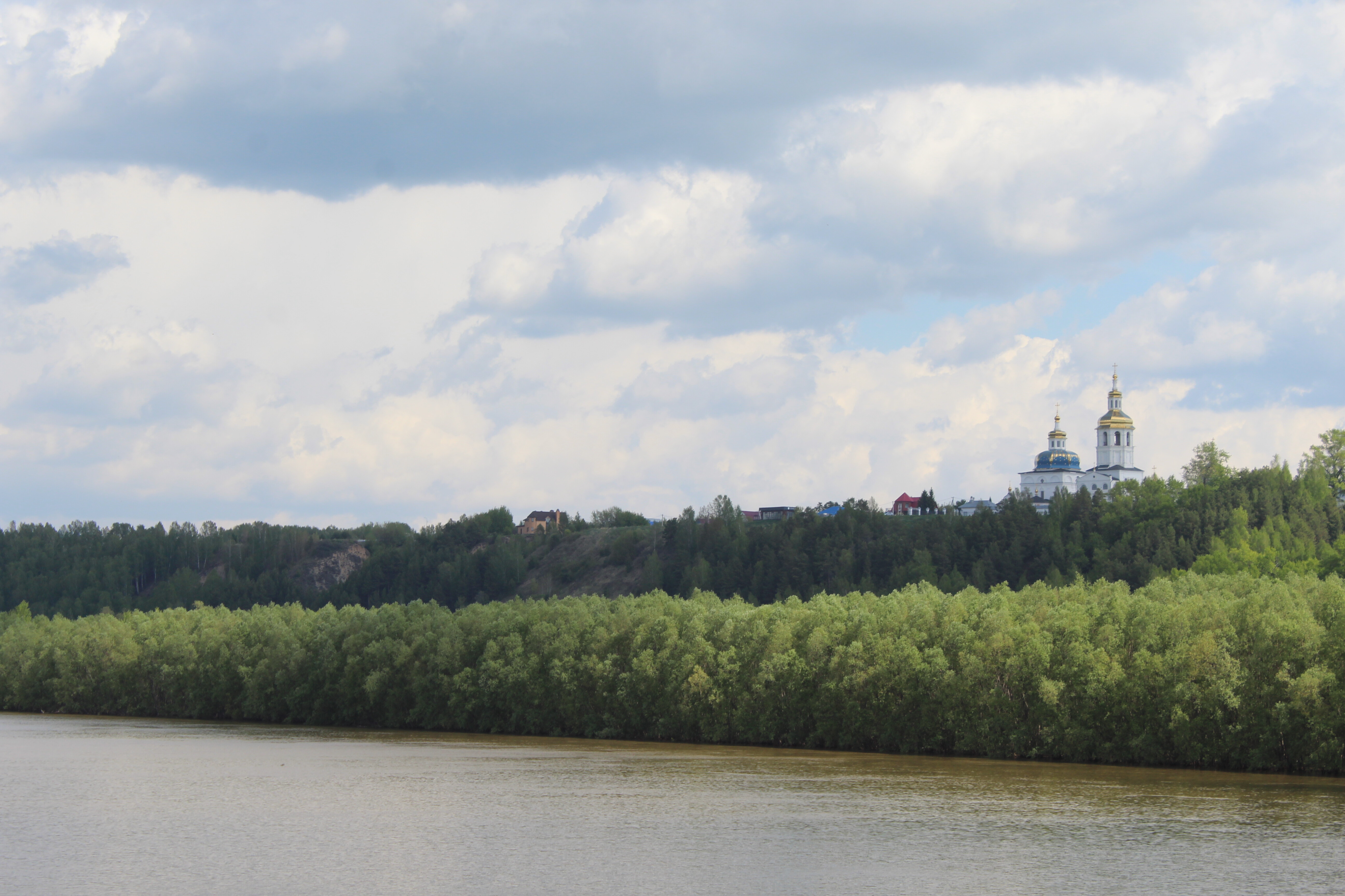 IMG_6317.jpg