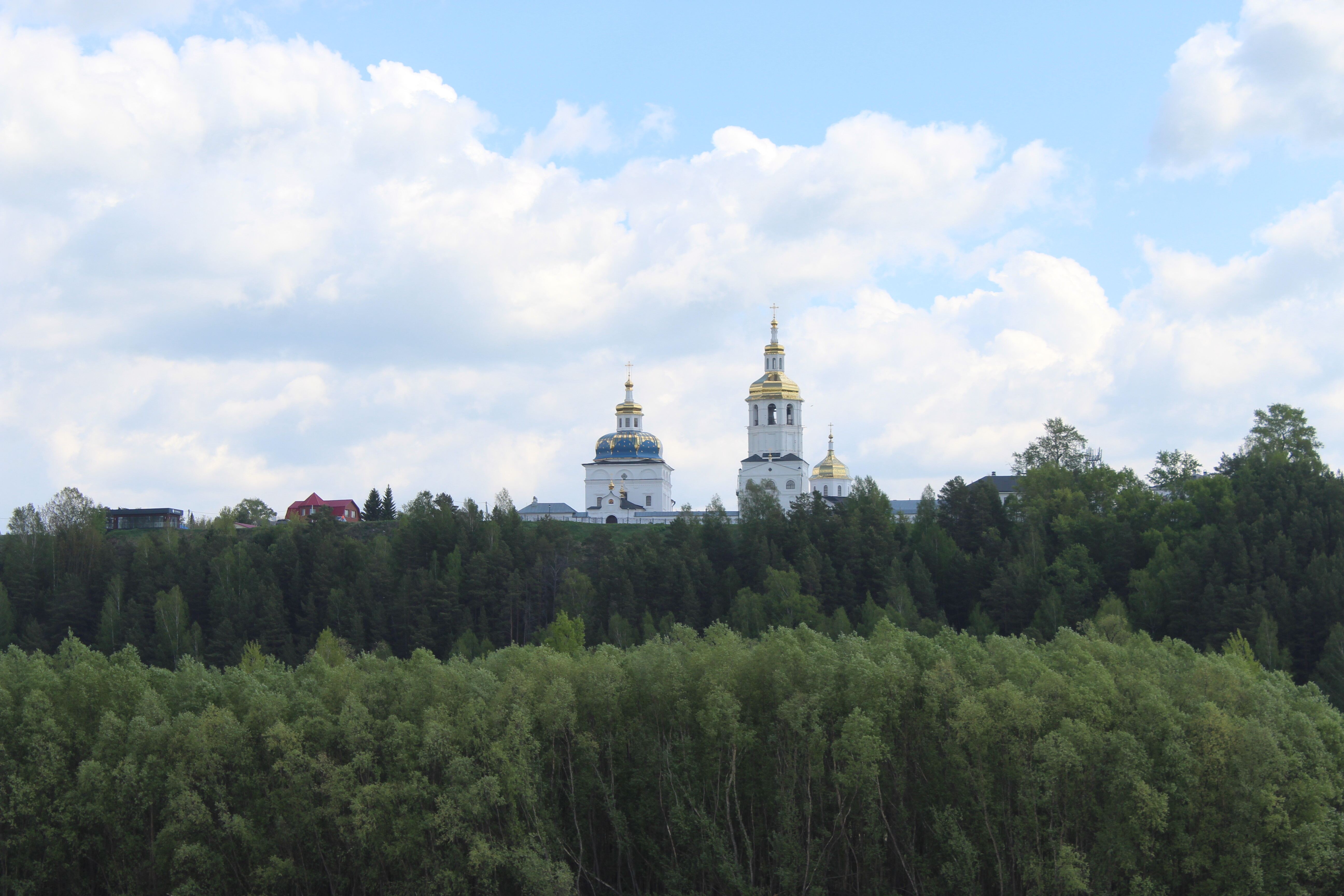 IMG_6320.jpg
