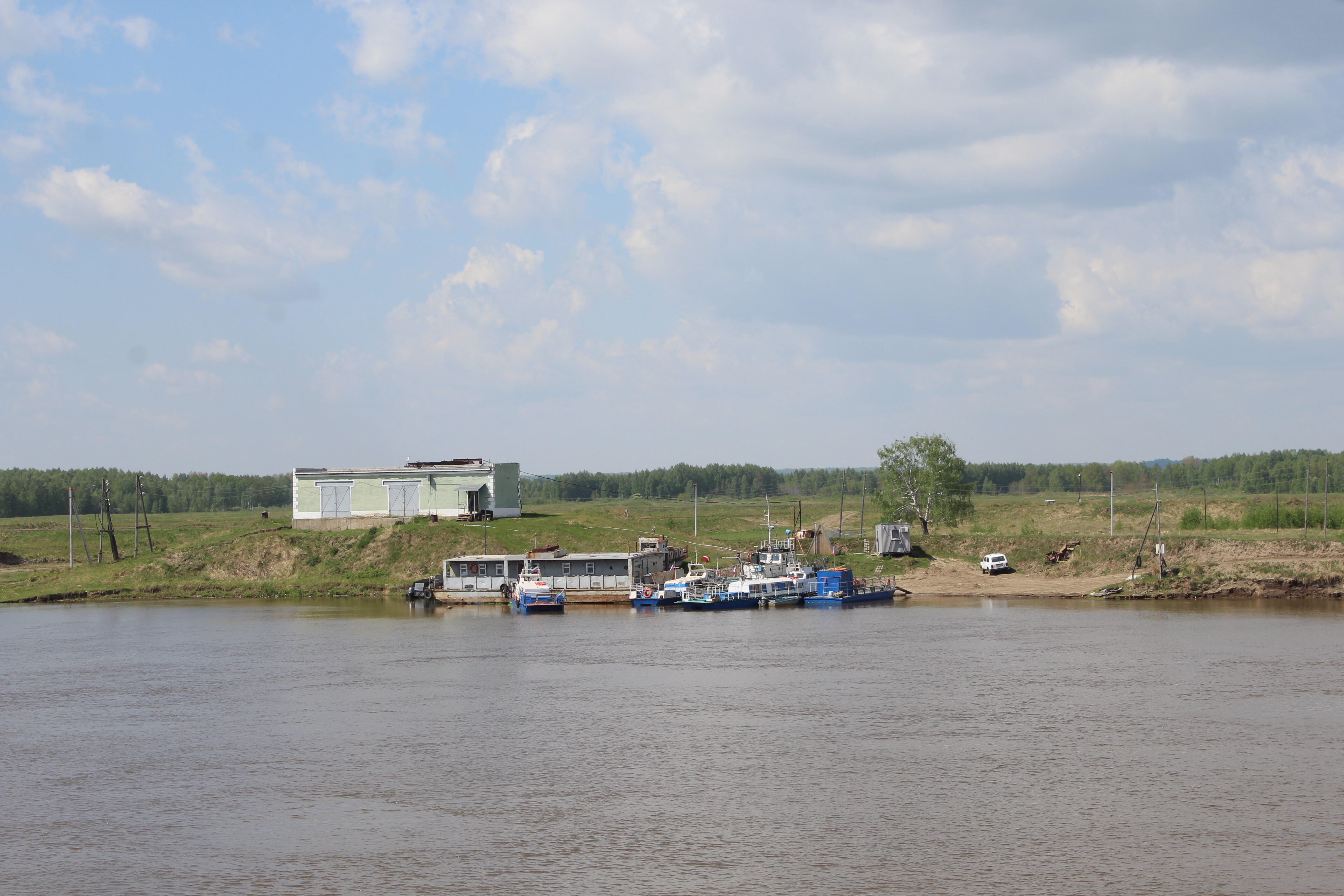 IMG_6323.jpg