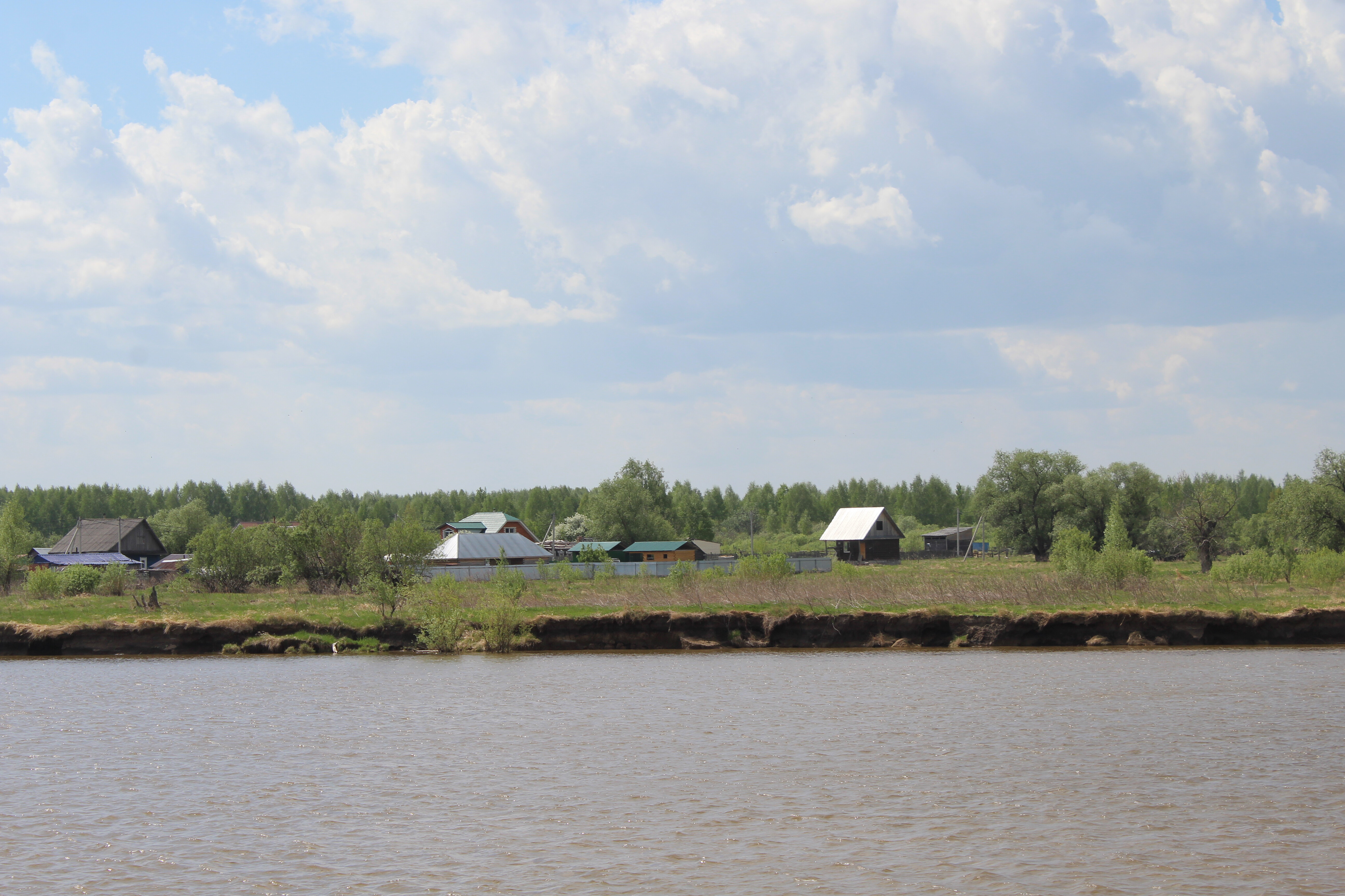 IMG_6347.jpg