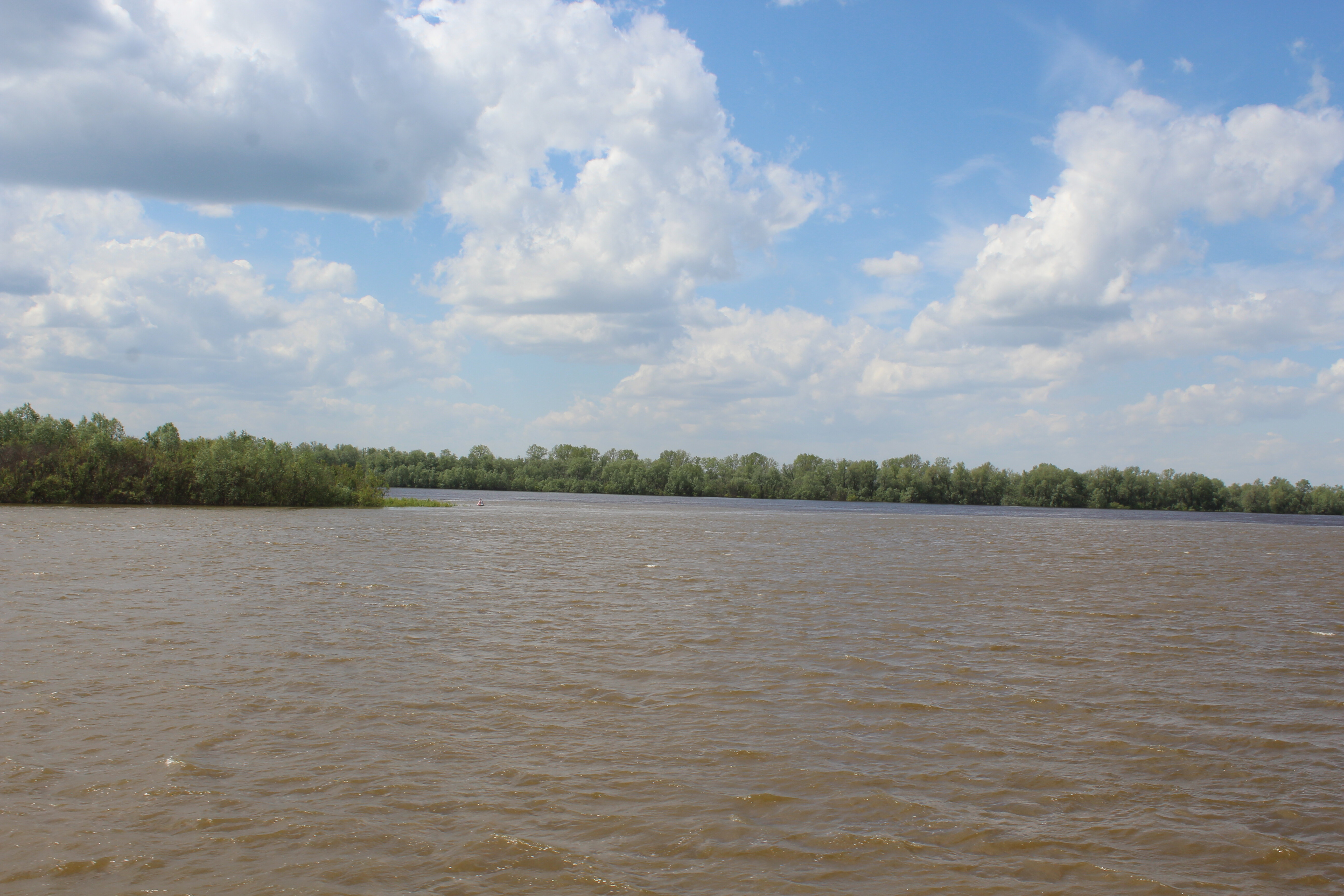 IMG_6353.jpg
