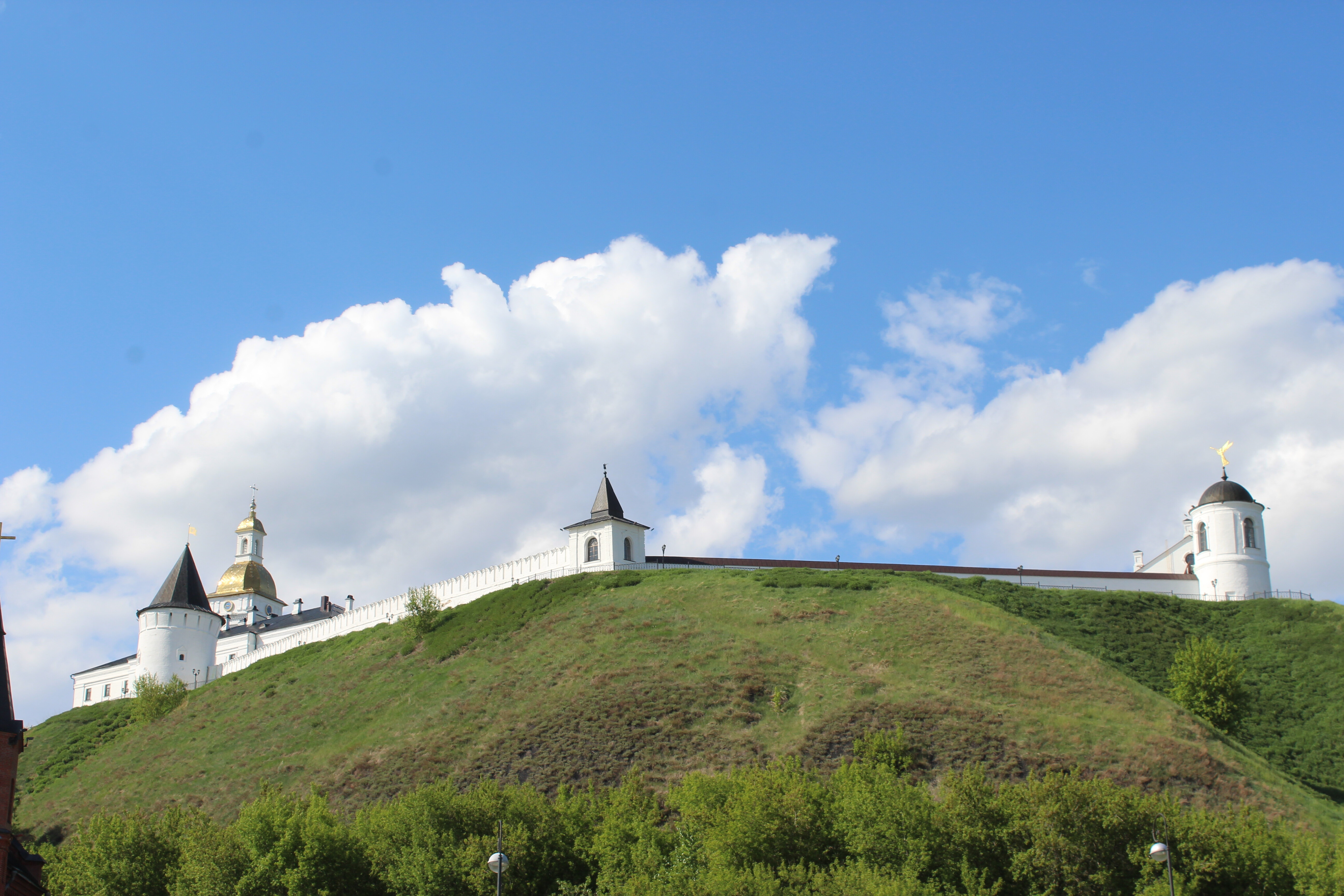 IMG_6381.jpg