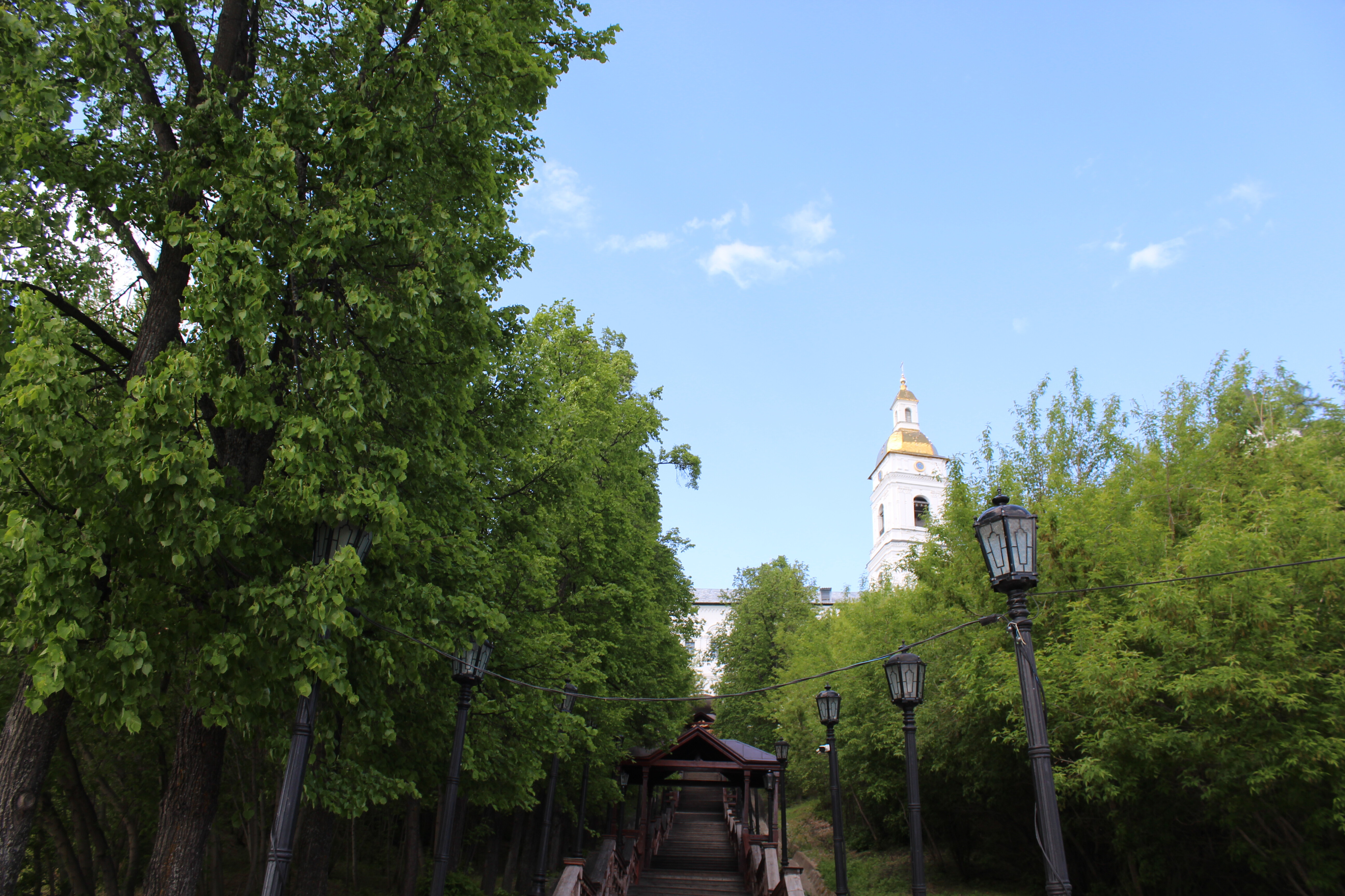 IMG_6397.jpg