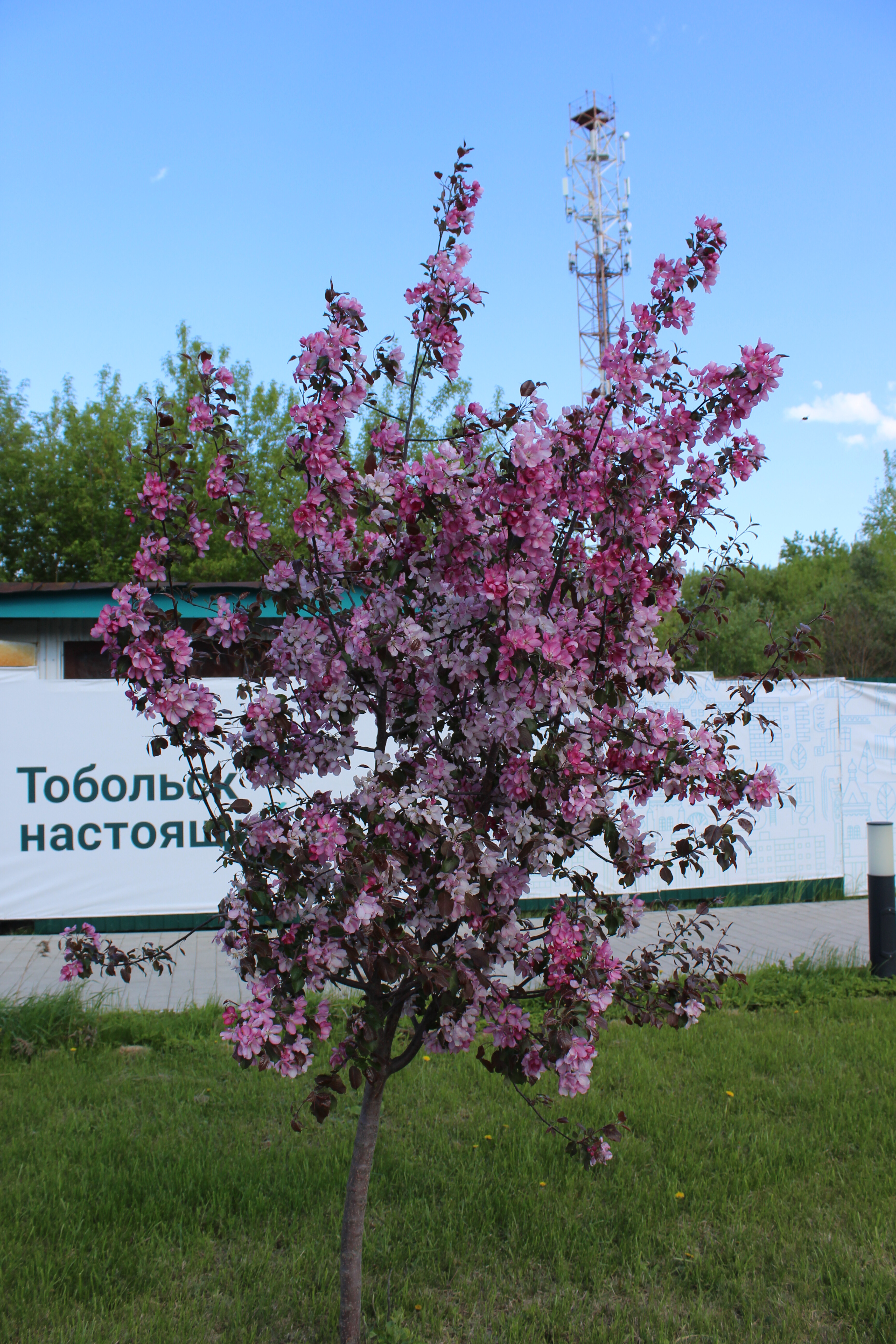 IMG_6422.jpg